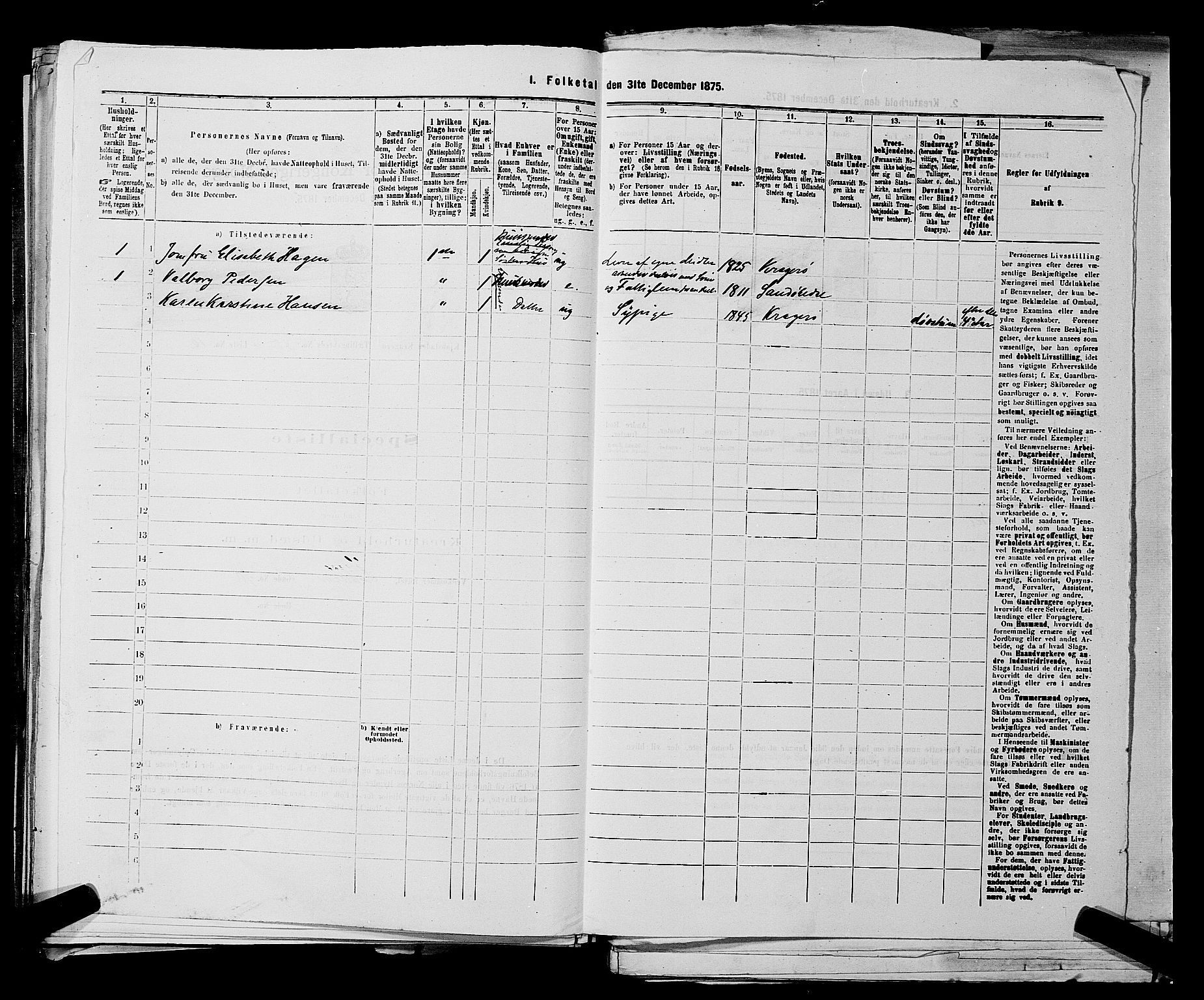 SAKO, 1875 census for 0801P Kragerø, 1875, p. 1008