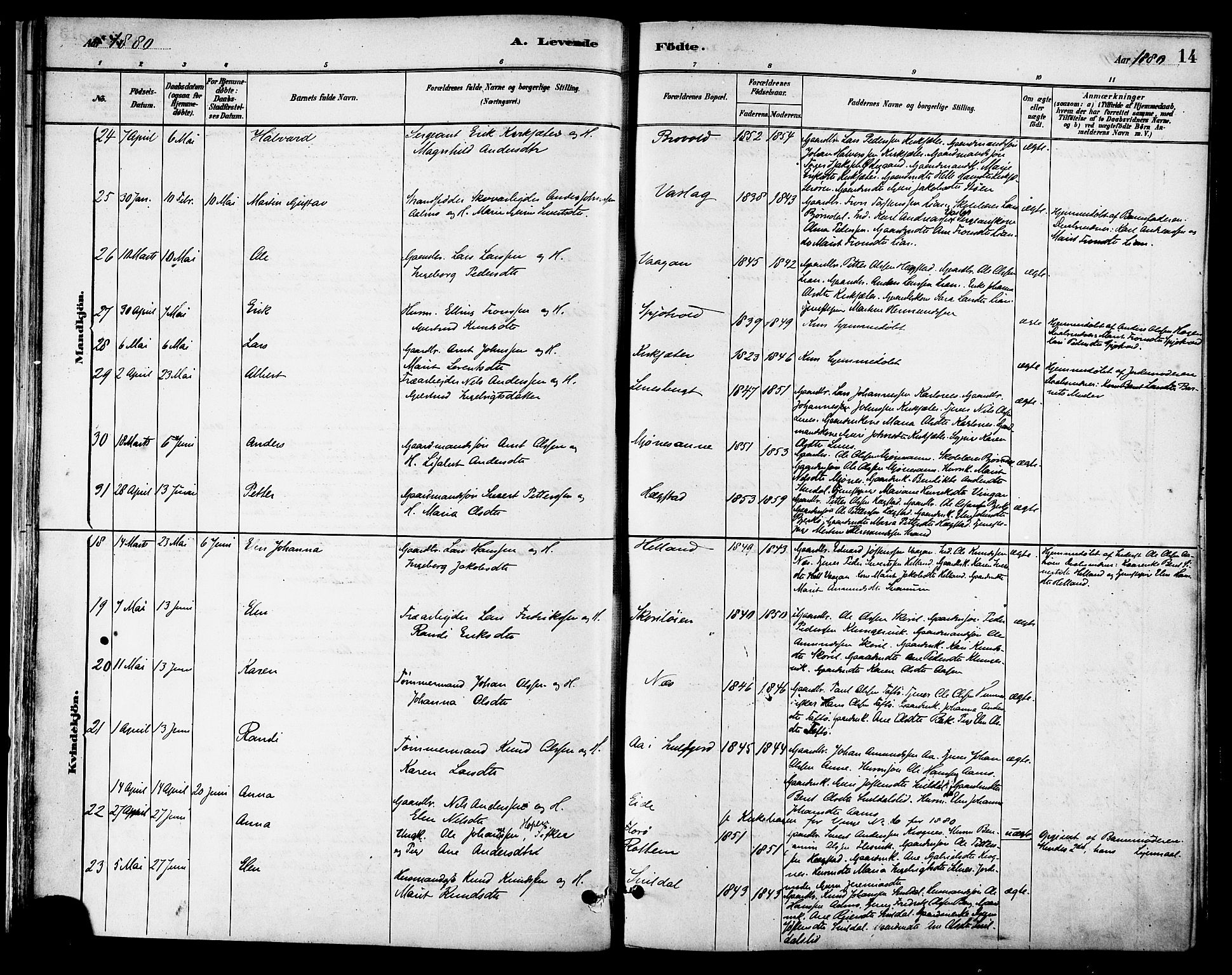 Ministerialprotokoller, klokkerbøker og fødselsregistre - Sør-Trøndelag, AV/SAT-A-1456/630/L0496: Parish register (official) no. 630A09, 1879-1895, p. 14