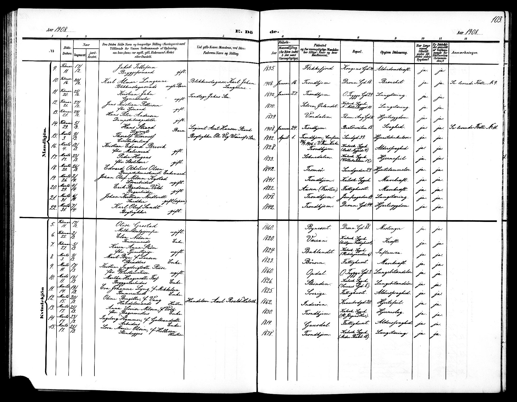 Ministerialprotokoller, klokkerbøker og fødselsregistre - Sør-Trøndelag, AV/SAT-A-1456/602/L0146: Parish register (copy) no. 602C14, 1904-1914, p. 103