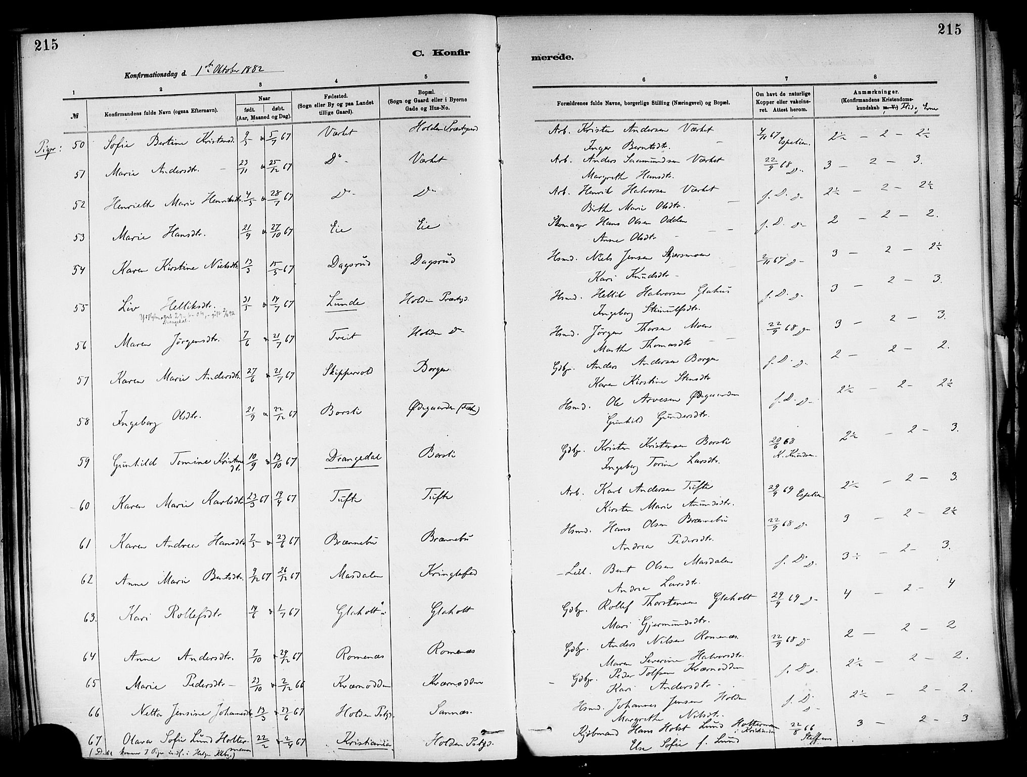 Holla kirkebøker, SAKO/A-272/F/Fa/L0008: Parish register (official) no. 8, 1882-1897, p. 215