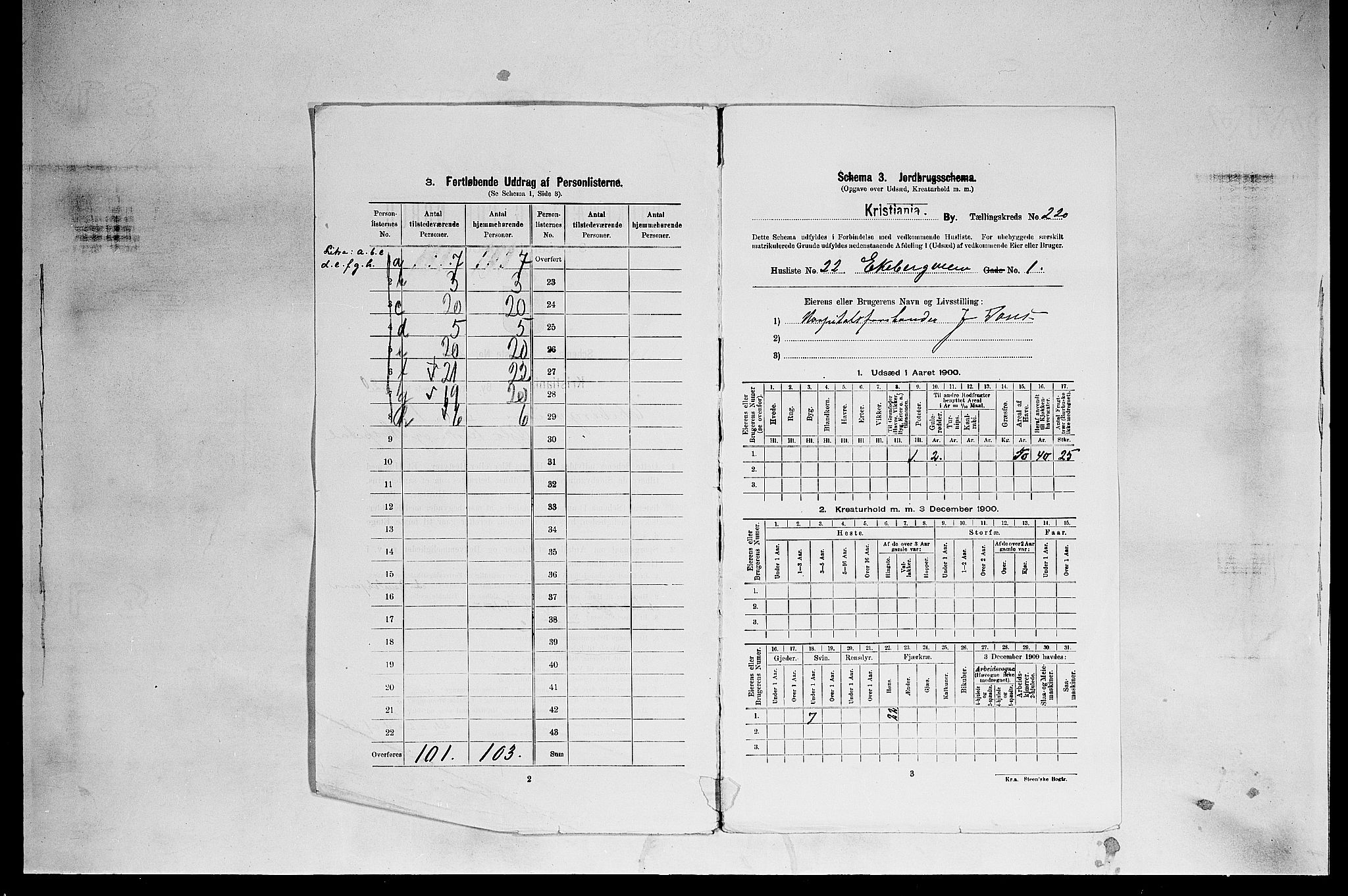 SAO, 1900 census for Kristiania, 1900, p. 18689