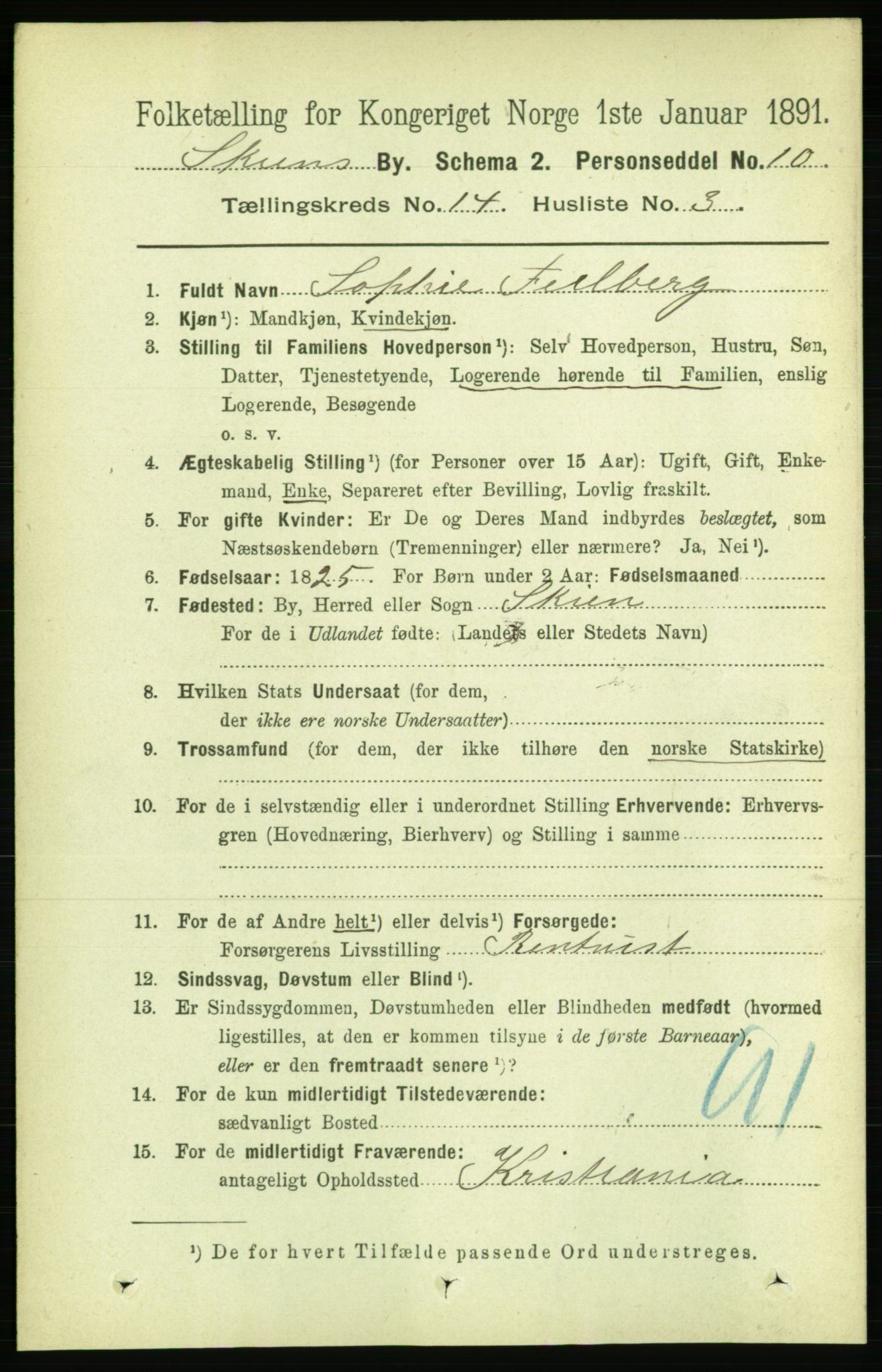 RA, 1891 census for 0806 Skien, 1891, p. 4298