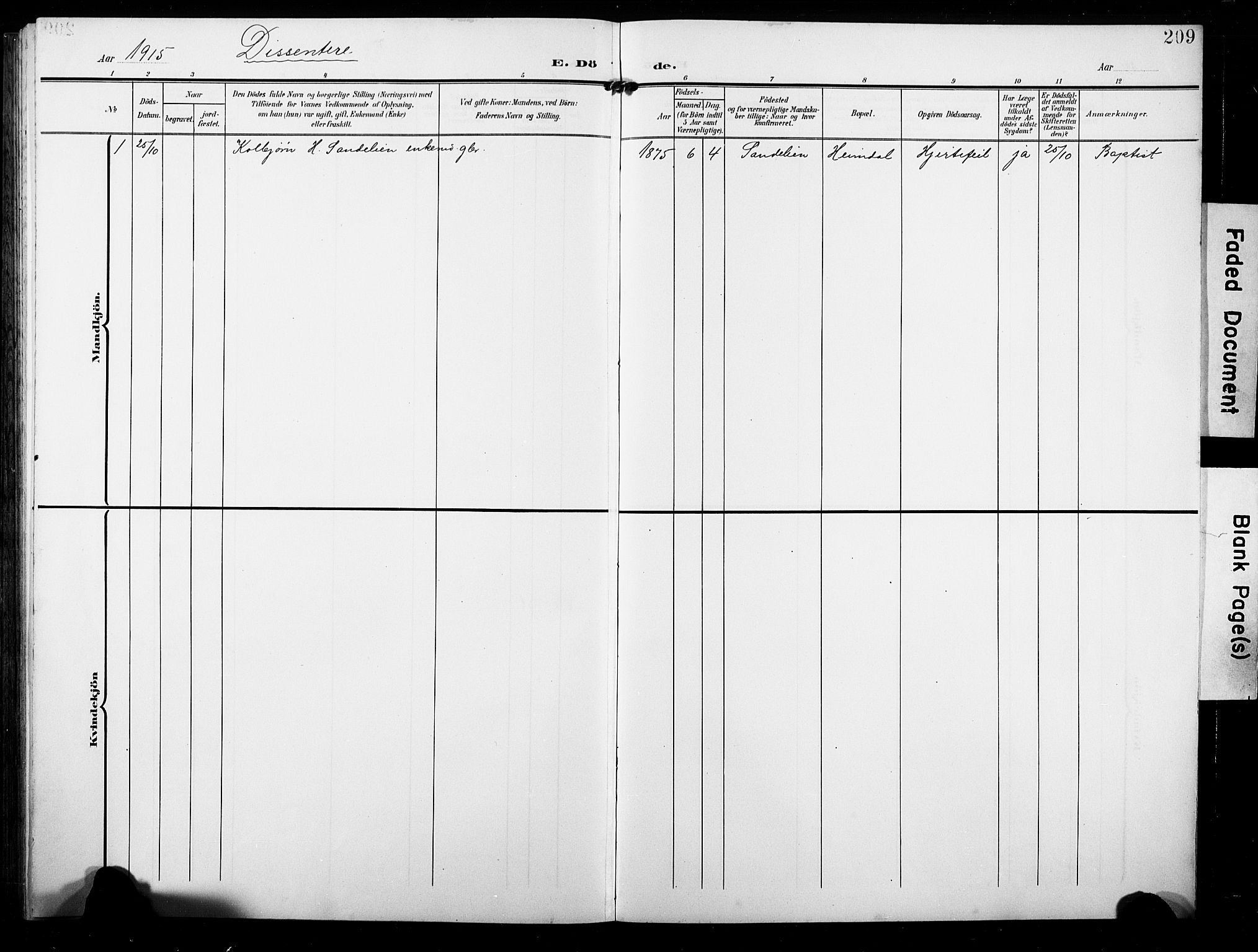 Ål kirkebøker, SAKO/A-249/G/Ga/L0002: Parish register (copy) no. 2, 1904-1928, p. 209