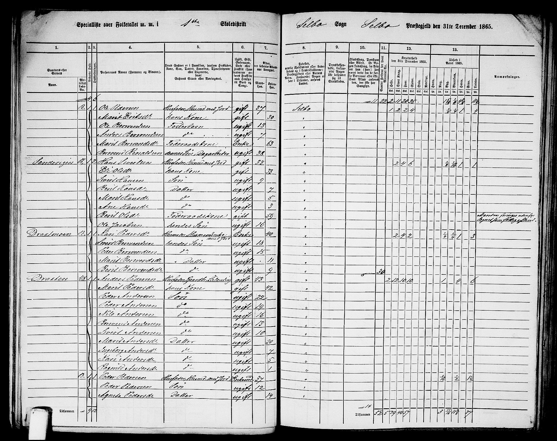 RA, 1865 census for Selbu, 1865, p. 13