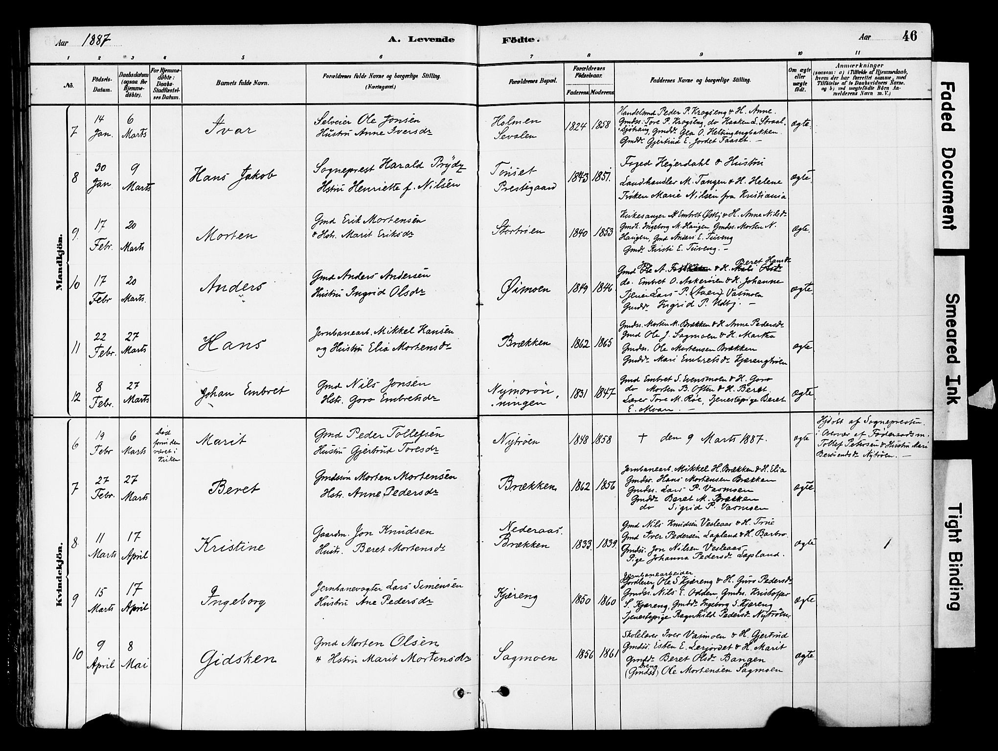 Tynset prestekontor, SAH/PREST-058/H/Ha/Haa/L0022: Parish register (official) no. 22, 1880-1899, p. 46