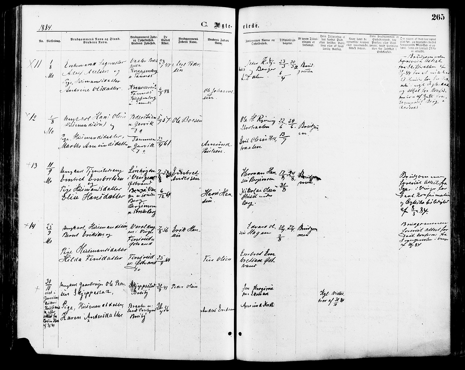 Nord-Odal prestekontor, AV/SAH-PREST-032/H/Ha/Haa/L0005: Parish register (official) no. 5, 1874-1885, p. 265