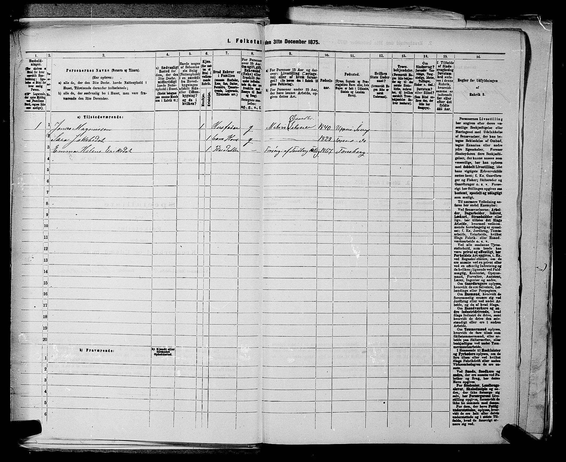 SAKO, 1875 census for 0722P Nøtterøy, 1875, p. 510