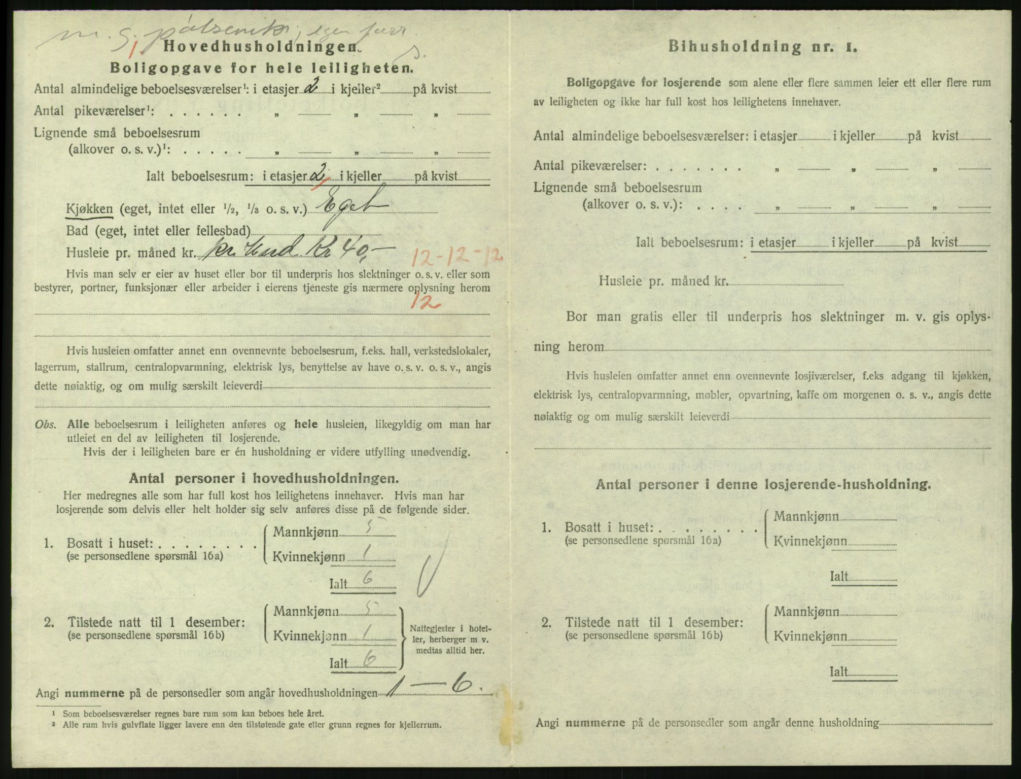 SAKO, 1920 census for Larvik, 1920, p. 5053