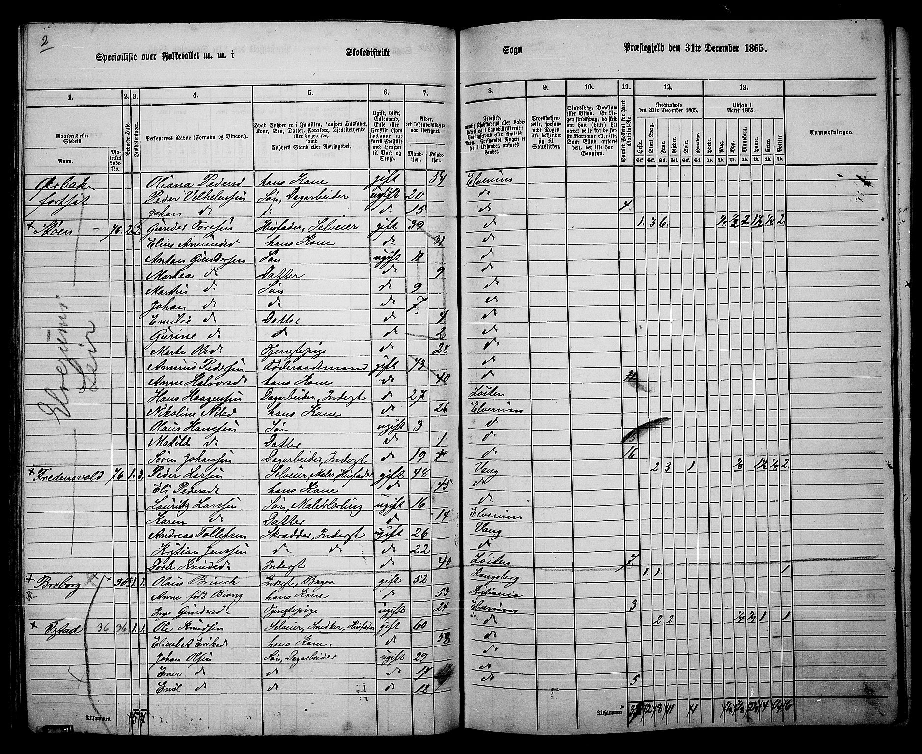 RA, 1865 census for Elverum, 1865, p. 114