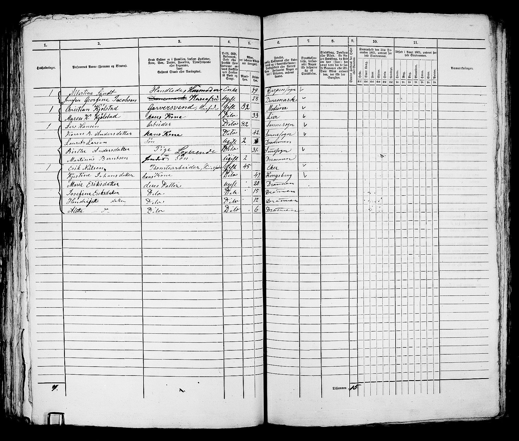 RA, 1865 census for Bragernes in Drammen, 1865, p. 813