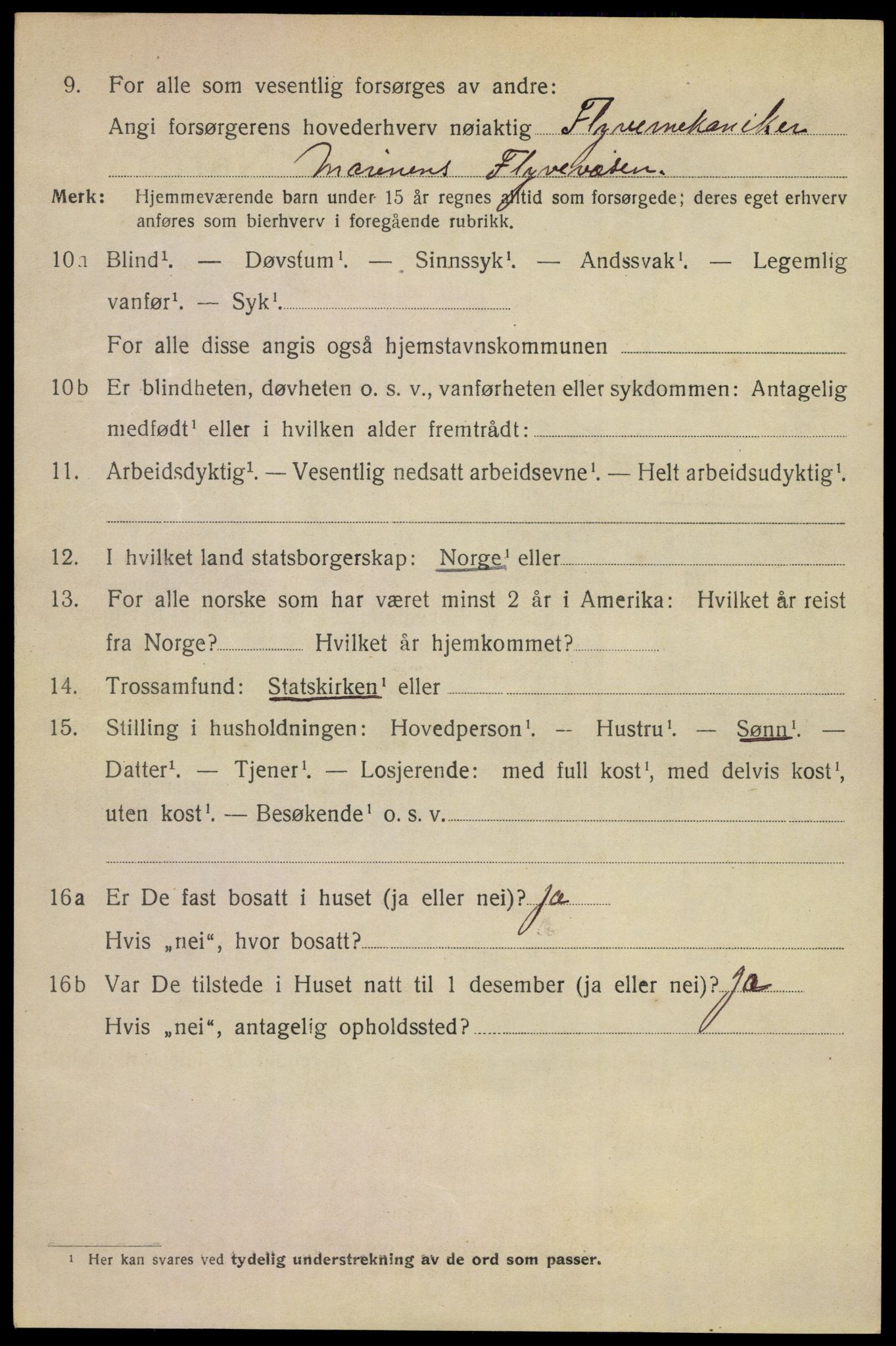 SAKO, 1920 census for Horten, 1920, p. 16818