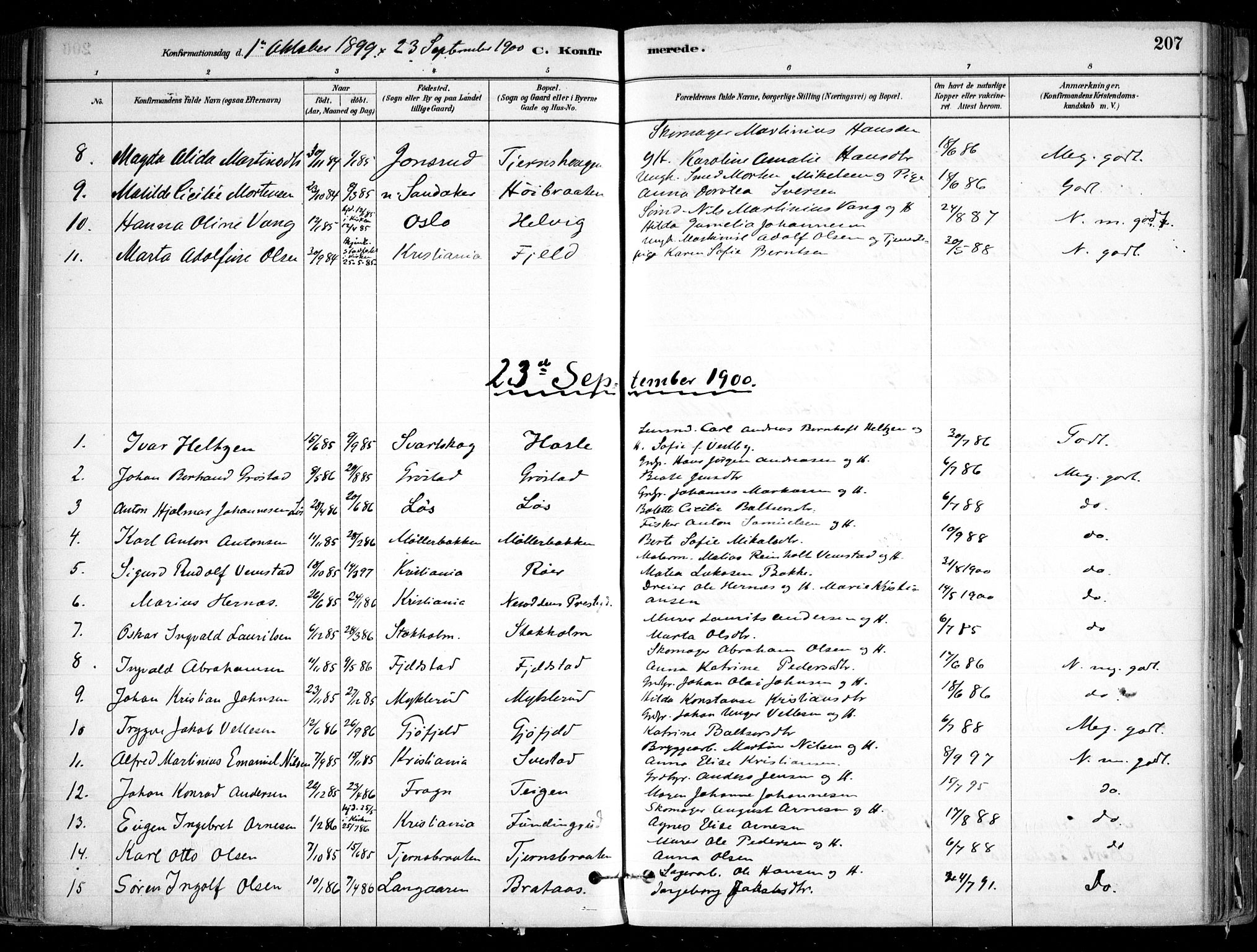 Nesodden prestekontor Kirkebøker, SAO/A-10013/F/Fa/L0009: Parish register (official) no. I 9, 1880-1915, p. 207