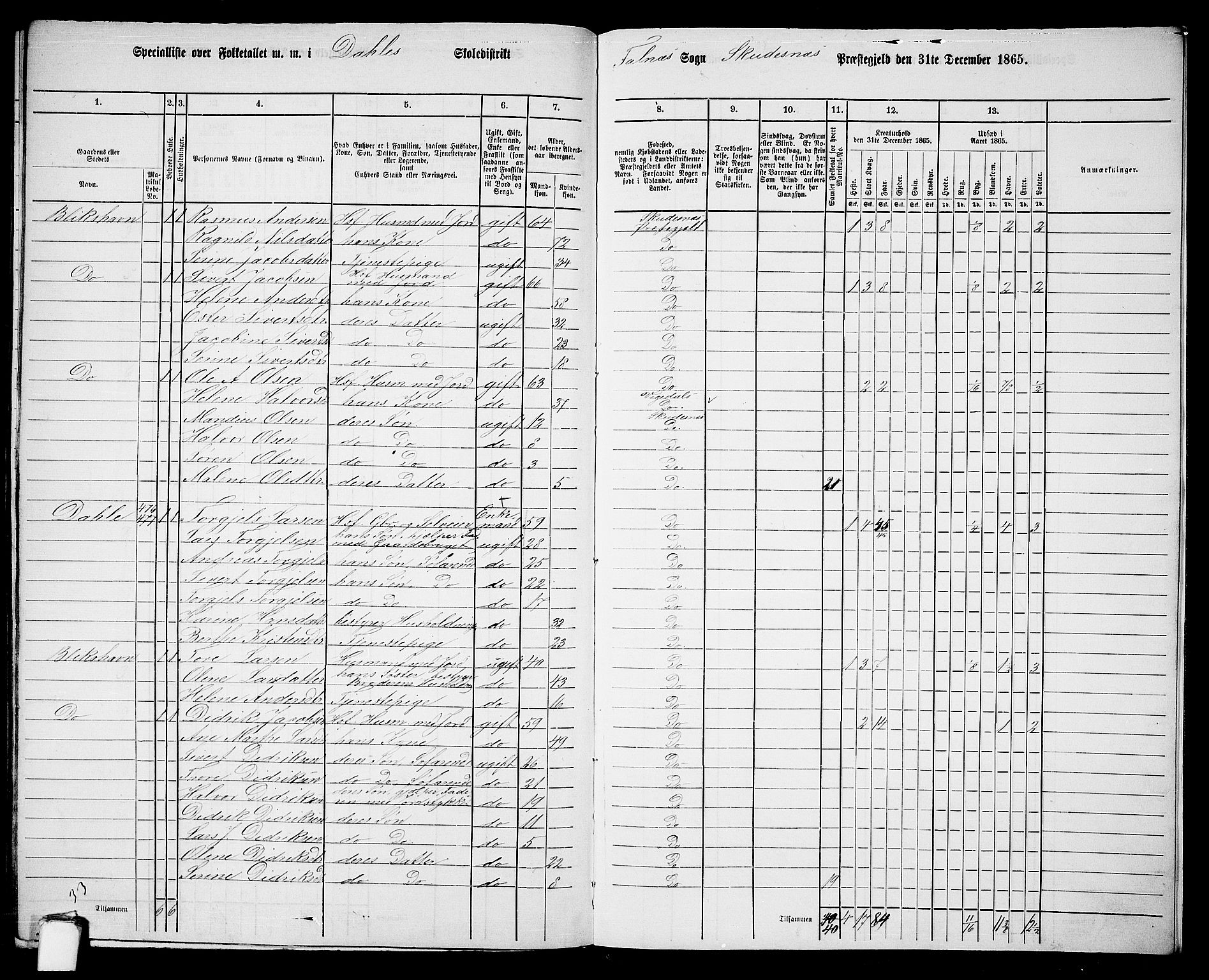 RA, 1865 census for Skudenes, 1865, p. 194