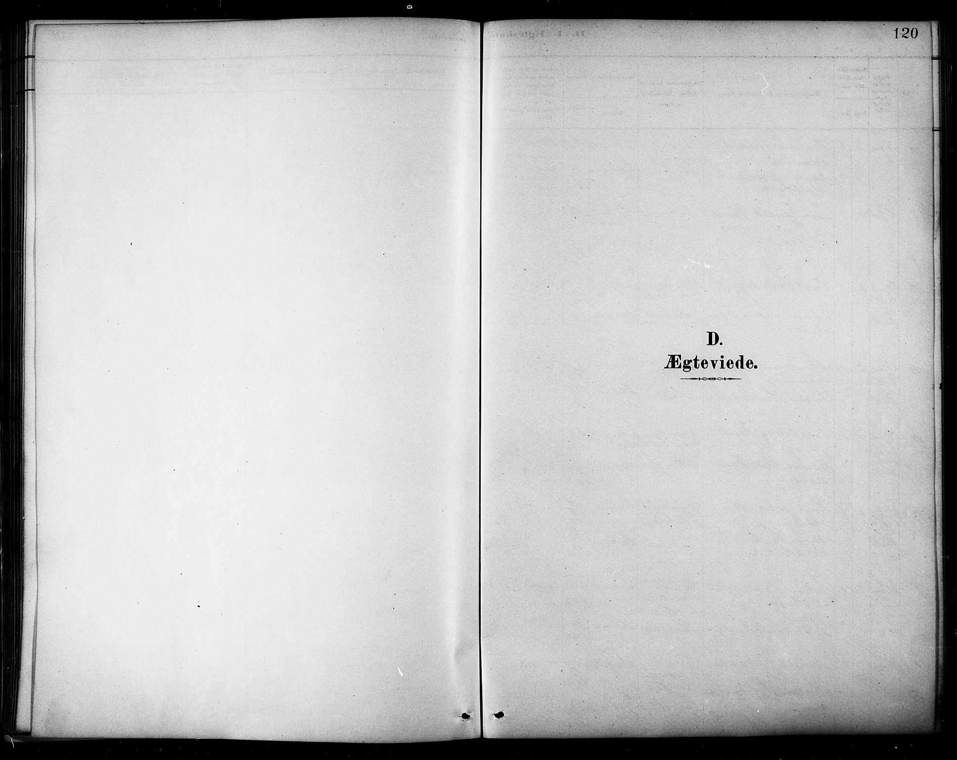 Ministerialprotokoller, klokkerbøker og fødselsregistre - Nordland, SAT/A-1459/849/L0689: Parish register (official) no. 849A01, 1879-1889, p. 120