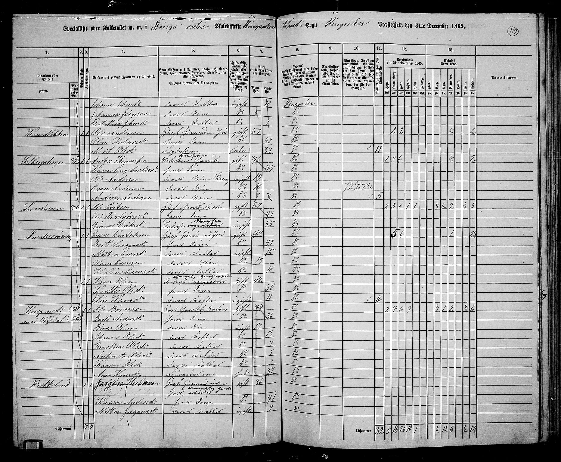 RA, 1865 census for Ringsaker, 1865, p. 367