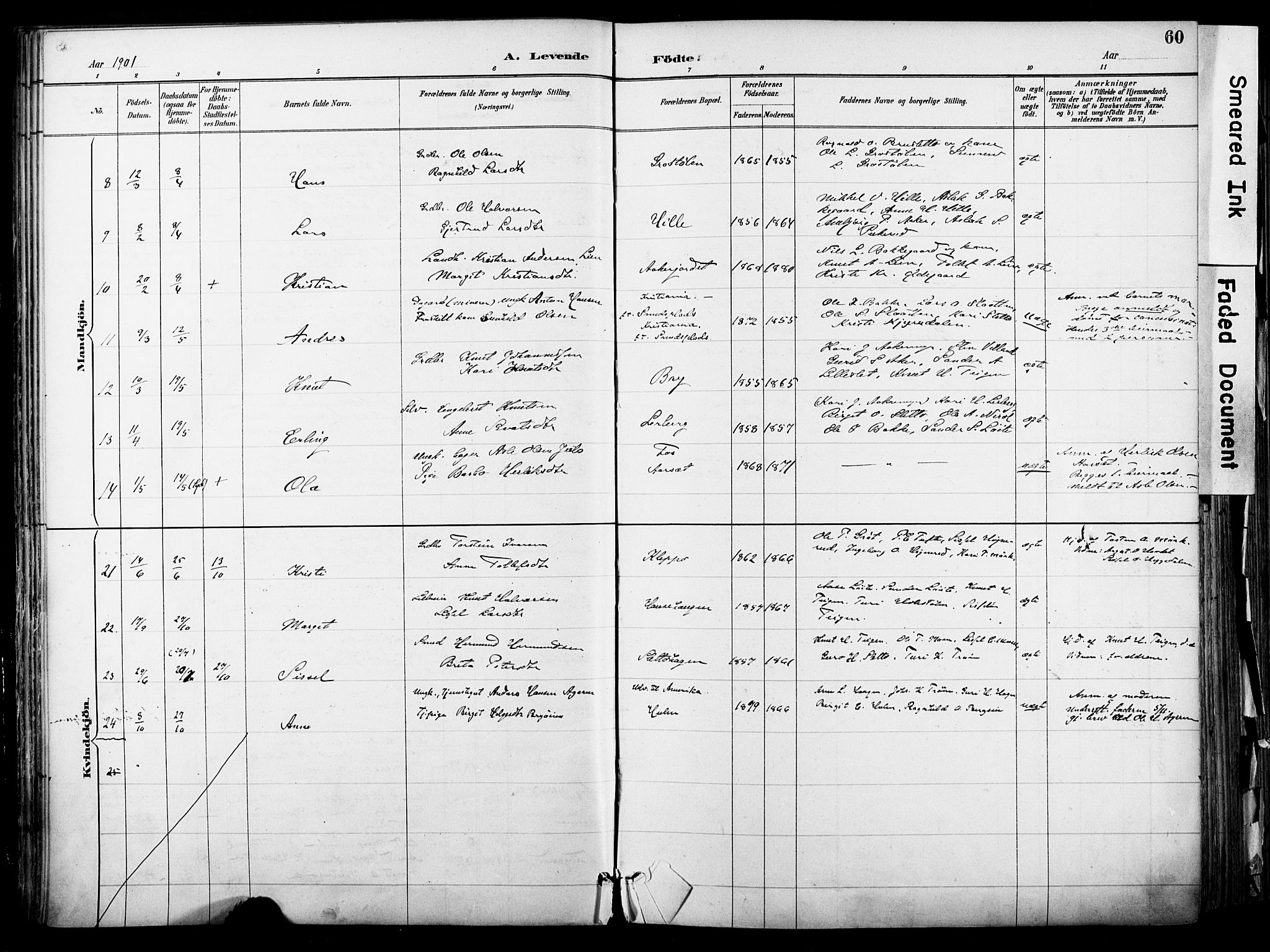 Hol kirkebøker, AV/SAKO-A-227/F/Fa/L0003: Parish register (official) no. I 3, 1887-1918, p. 60