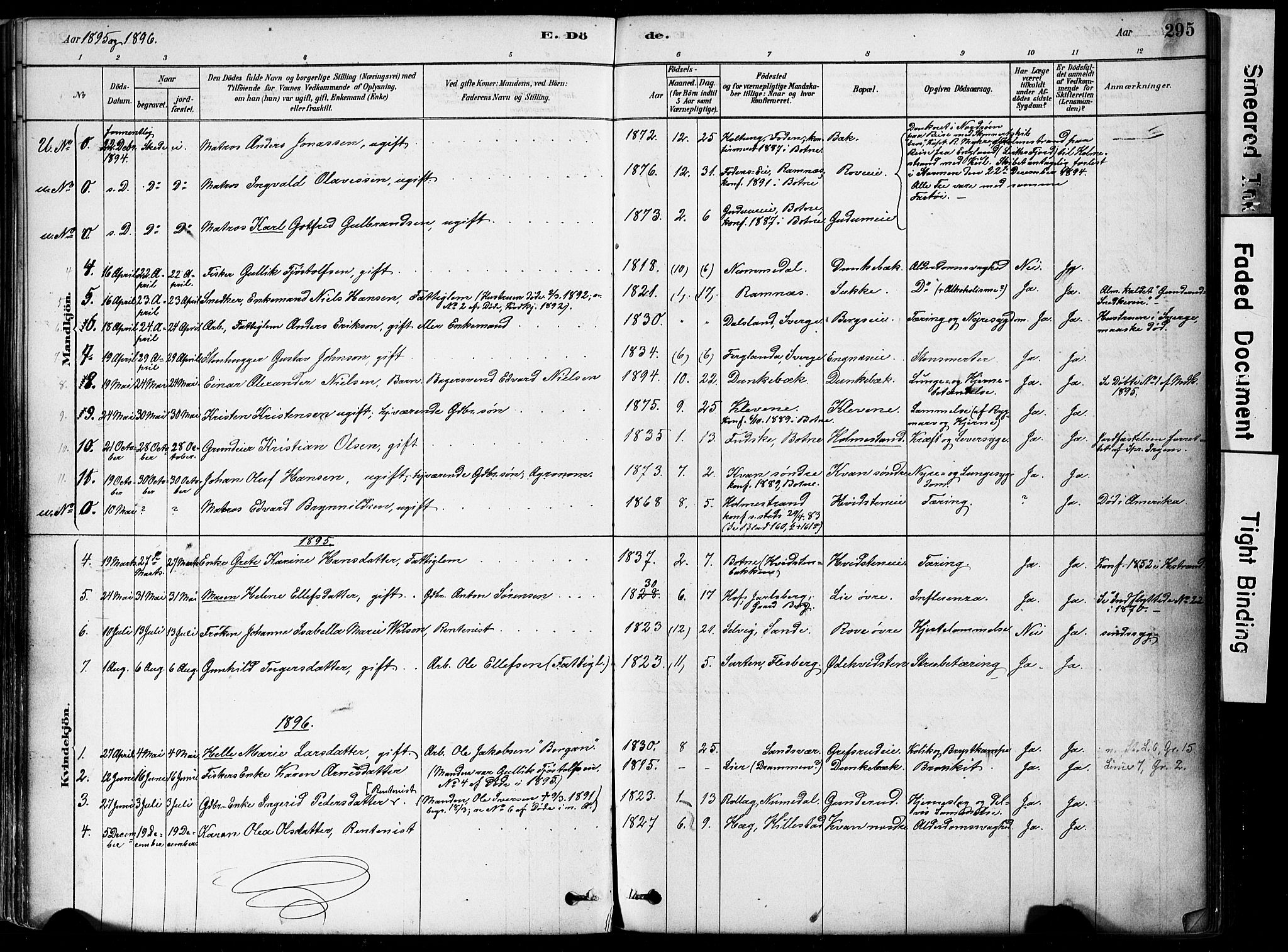 Botne kirkebøker, SAKO/A-340/F/Fa/L0007: Parish register (official) no. I 7, 1878-1910, p. 295