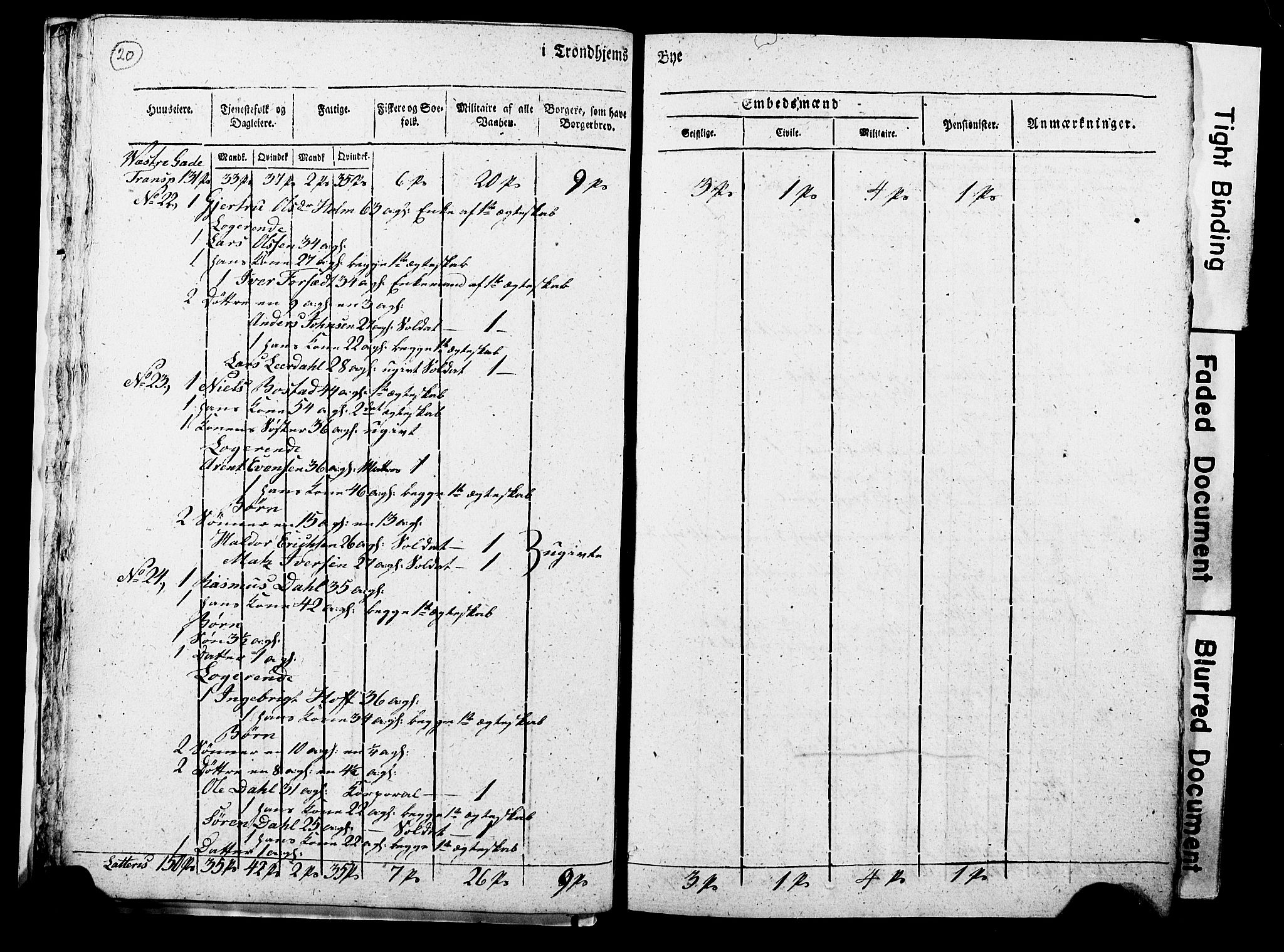 RA, Census 1815 for Trondheim, 1815, p. 19