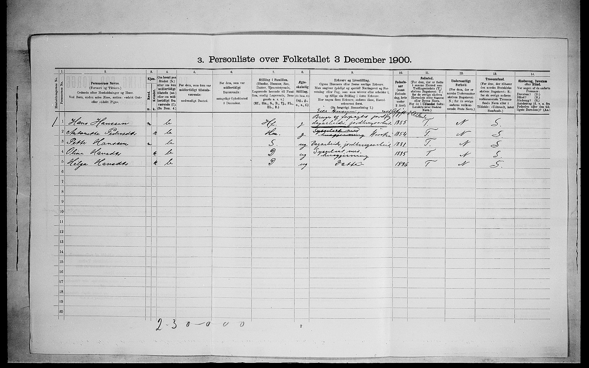 SAH, 1900 census for Ringsaker, 1900, p. 2243
