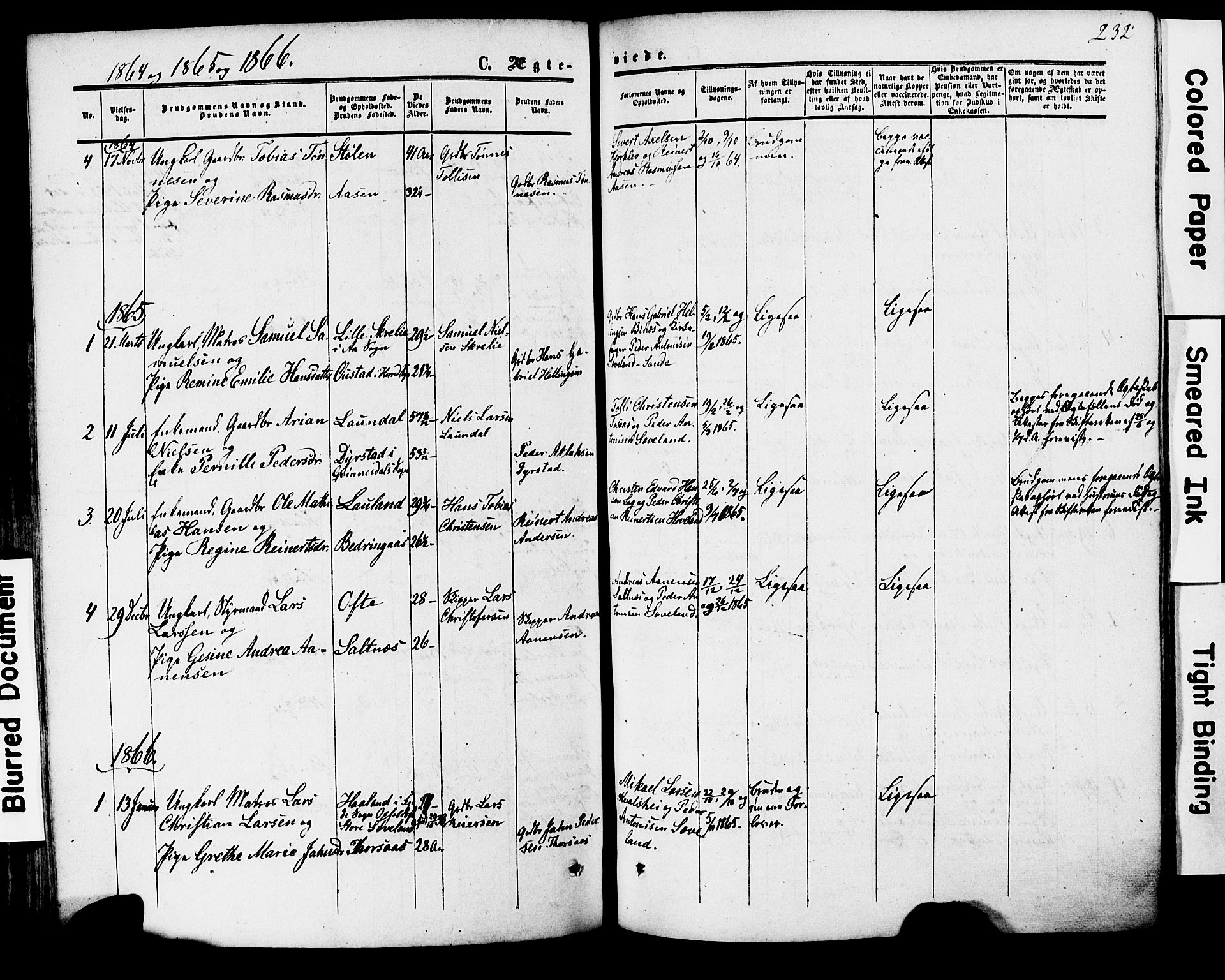 Herad sokneprestkontor, AV/SAK-1111-0018/F/Fa/Faa/L0005: Parish register (official) no. A 5, 1853-1886, p. 232