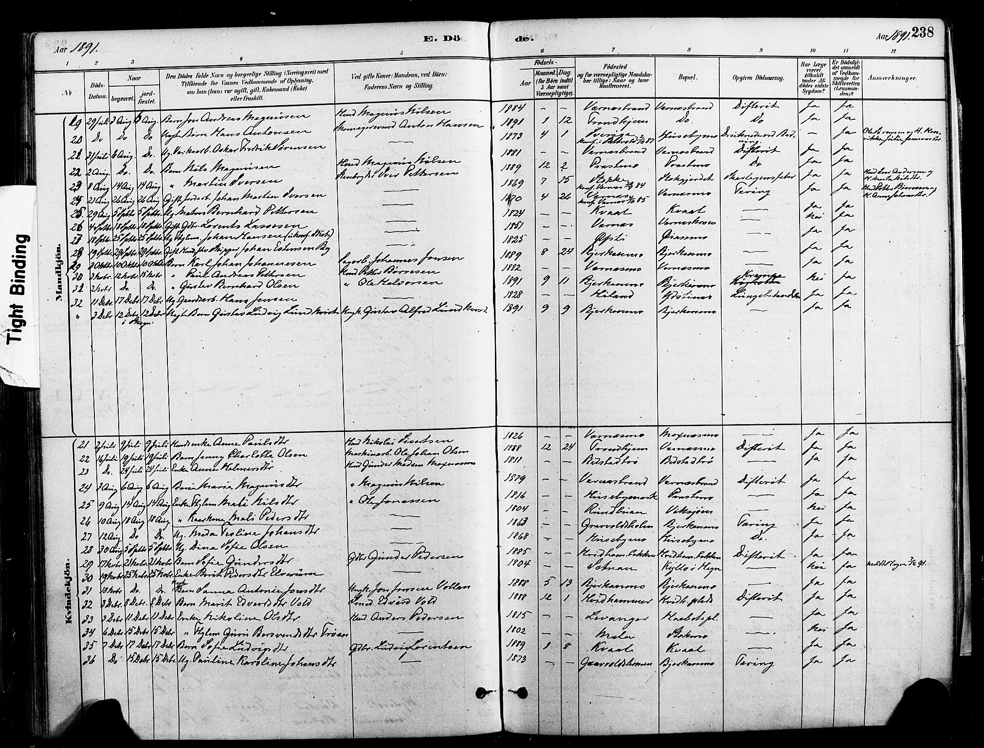 Ministerialprotokoller, klokkerbøker og fødselsregistre - Nord-Trøndelag, AV/SAT-A-1458/709/L0077: Parish register (official) no. 709A17, 1880-1895, p. 238