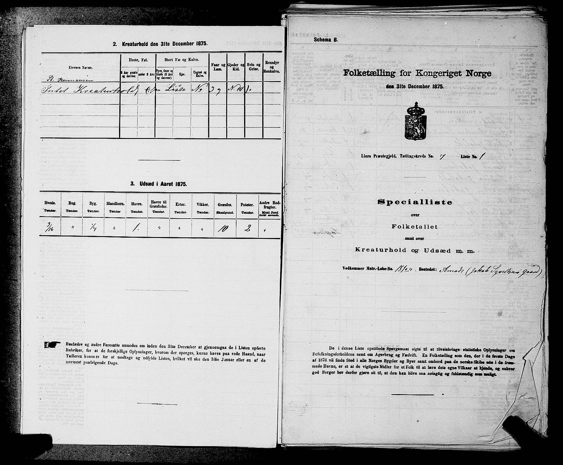 SAKO, 1875 census for 0626P Lier, 1875, p. 1094