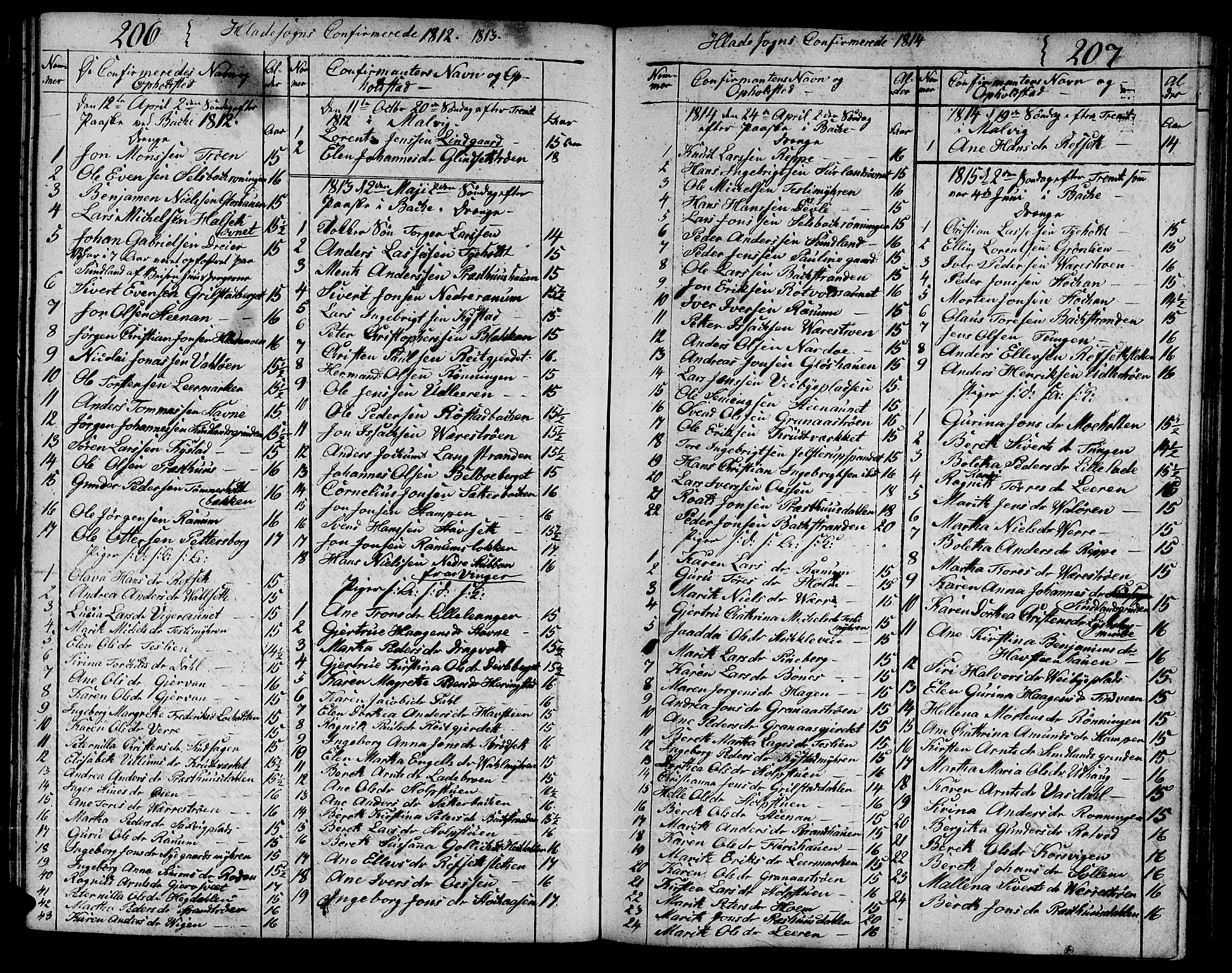 Ministerialprotokoller, klokkerbøker og fødselsregistre - Sør-Trøndelag, SAT/A-1456/606/L0306: Parish register (copy) no. 606C02, 1797-1829, p. 206-207
