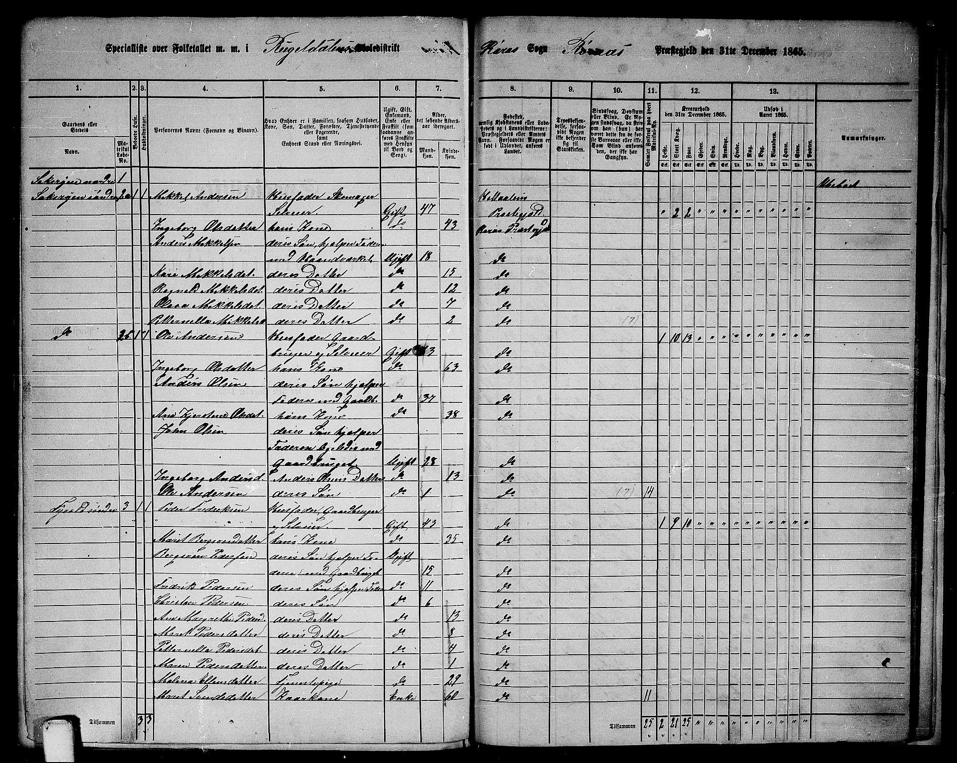 RA, 1865 census for Røros, 1865, p. 149