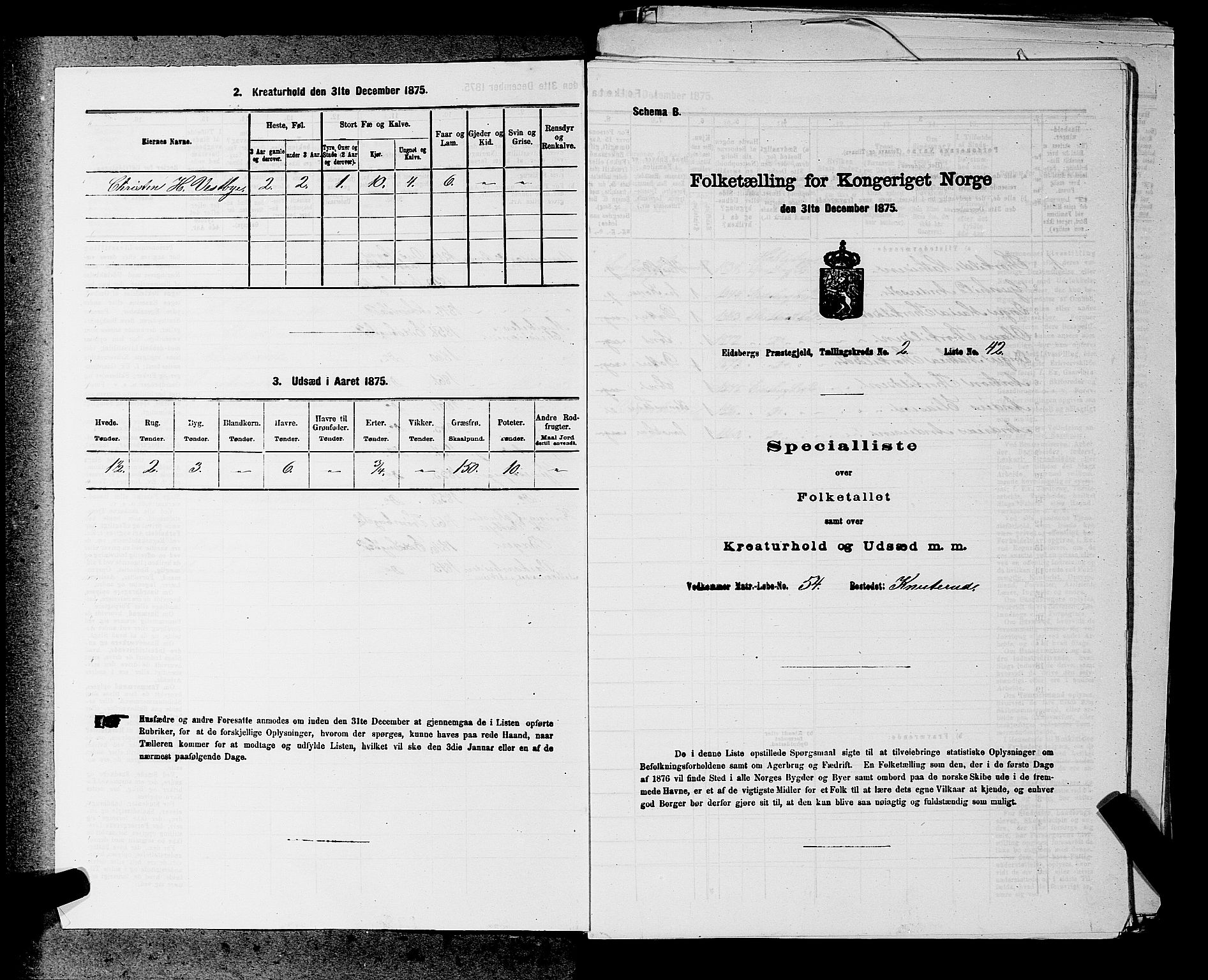 RA, 1875 census for 0125P Eidsberg, 1875, p. 387