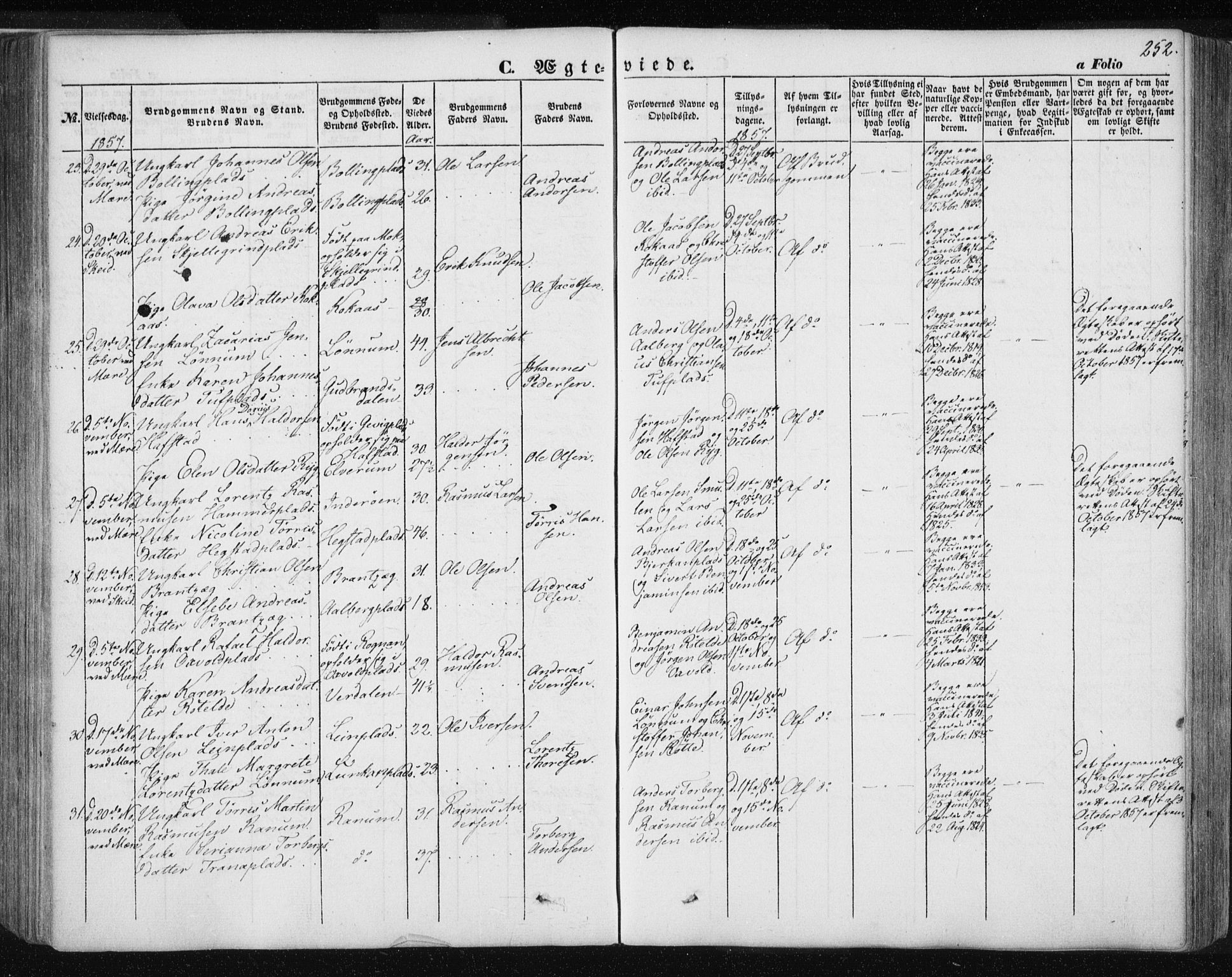 Ministerialprotokoller, klokkerbøker og fødselsregistre - Nord-Trøndelag, SAT/A-1458/735/L0342: Parish register (official) no. 735A07 /1, 1849-1862, p. 252