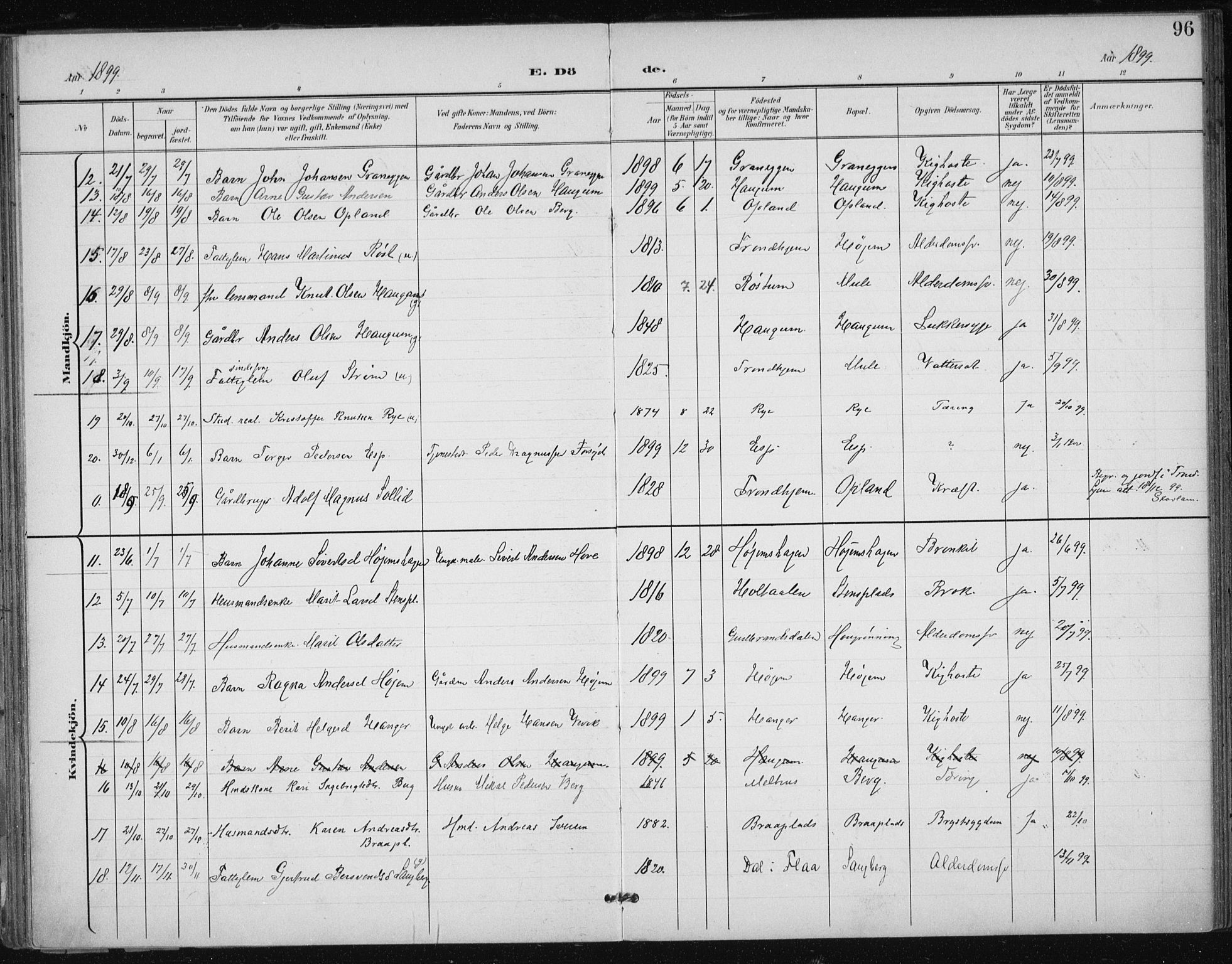 Ministerialprotokoller, klokkerbøker og fødselsregistre - Sør-Trøndelag, AV/SAT-A-1456/612/L0380: Parish register (official) no. 612A12, 1898-1907, p. 96