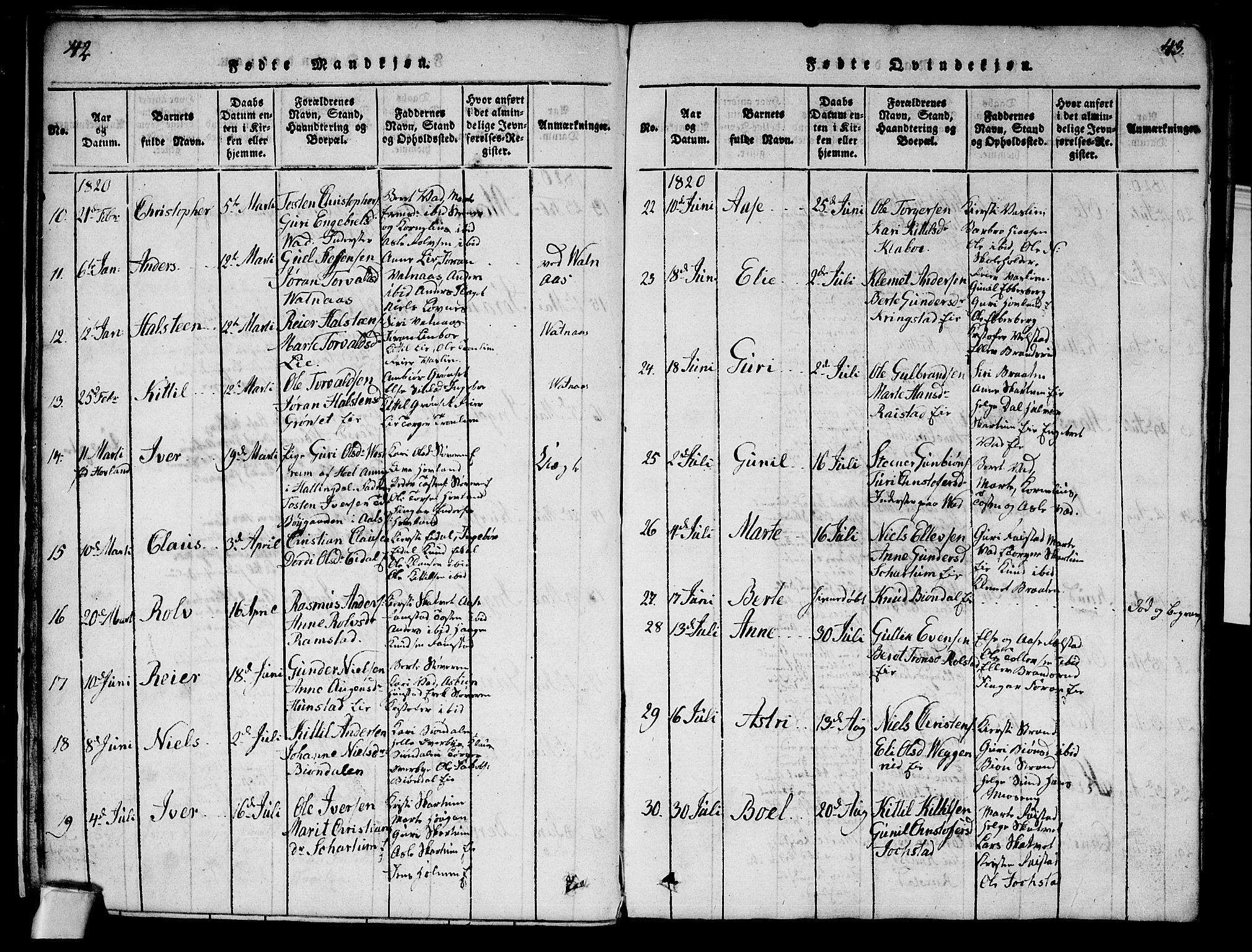 Sigdal kirkebøker, AV/SAKO-A-245/G/Ga/L0001: Parish register (copy) no. I 1 /1, 1816-1835, p. 42-43