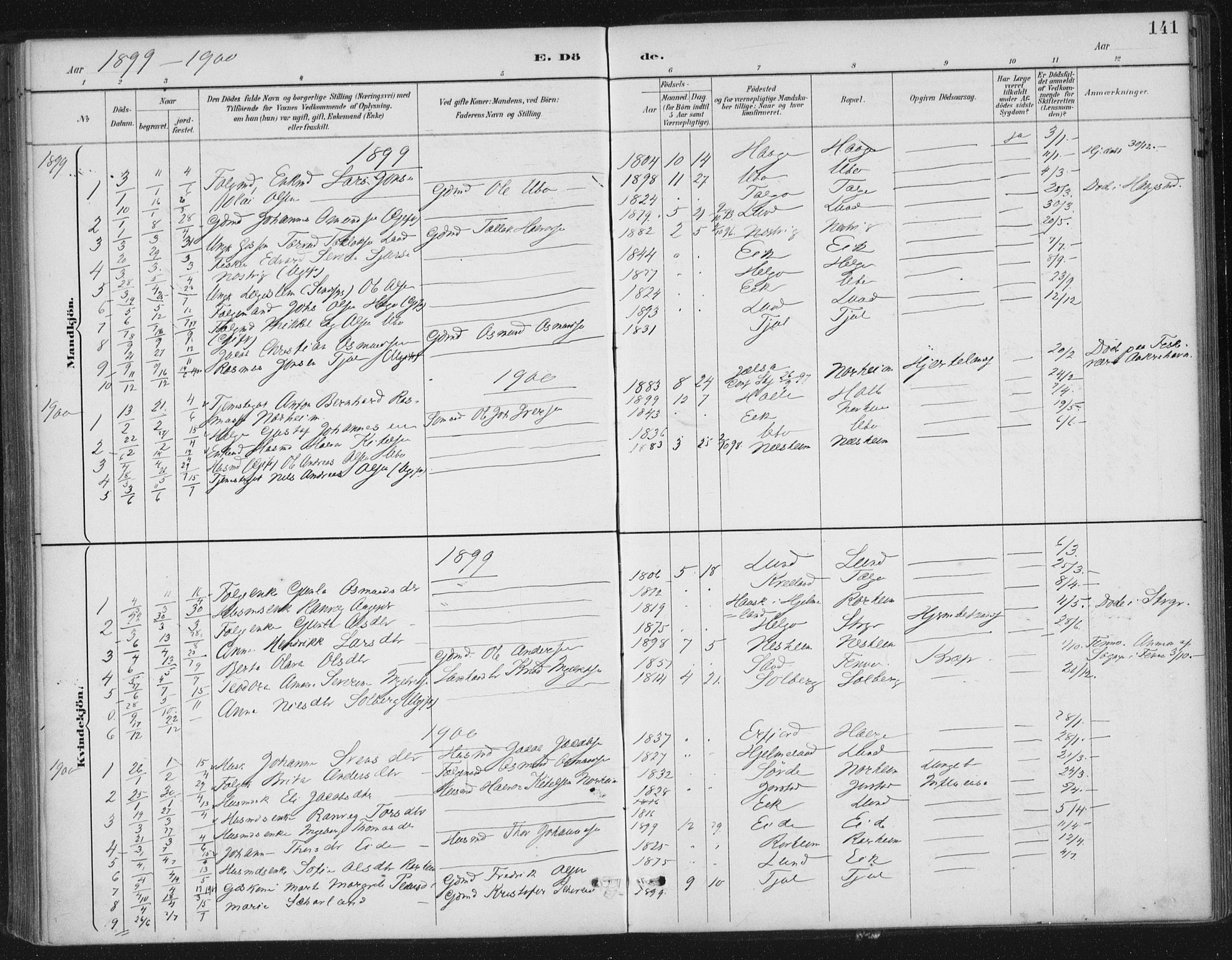 Nedstrand sokneprestkontor, AV/SAST-A-101841/01/IV: Parish register (official) no. A 13, 1887-1915, p. 141