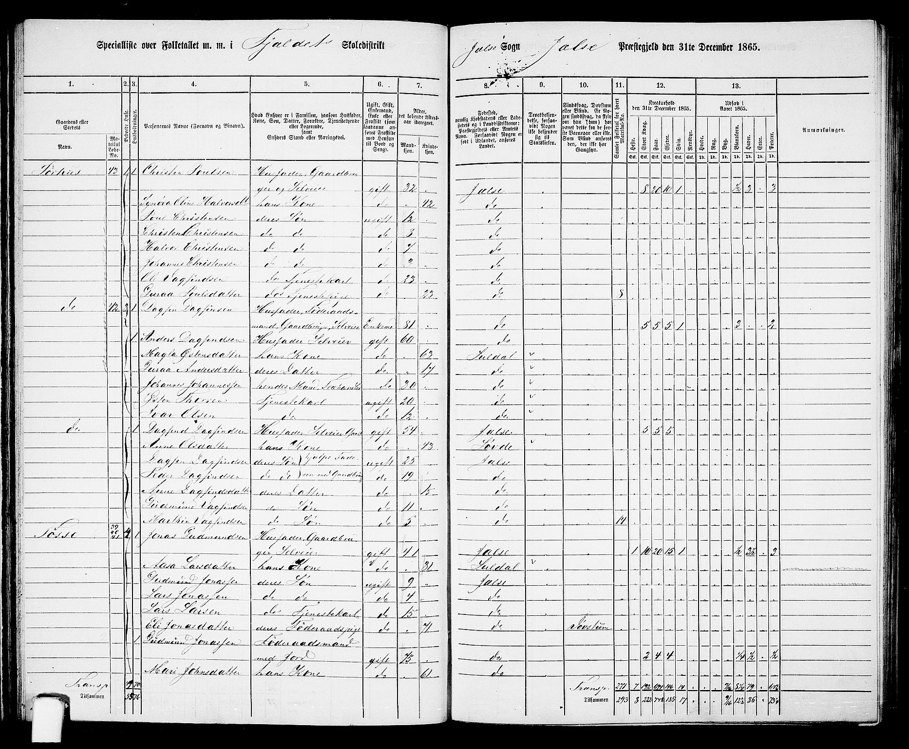 RA, 1865 census for Jelsa, 1865, p. 35