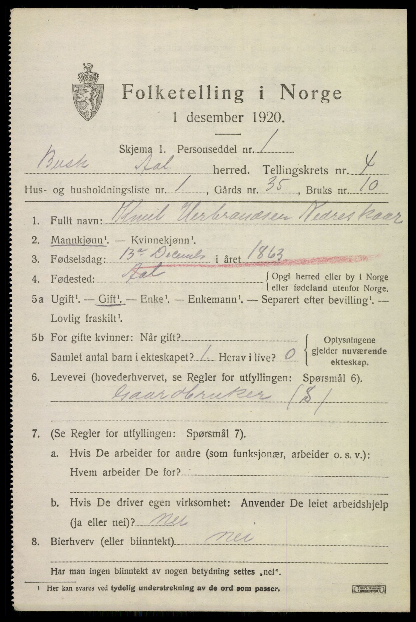 SAKO, 1920 census for Ål, 1920, p. 3074