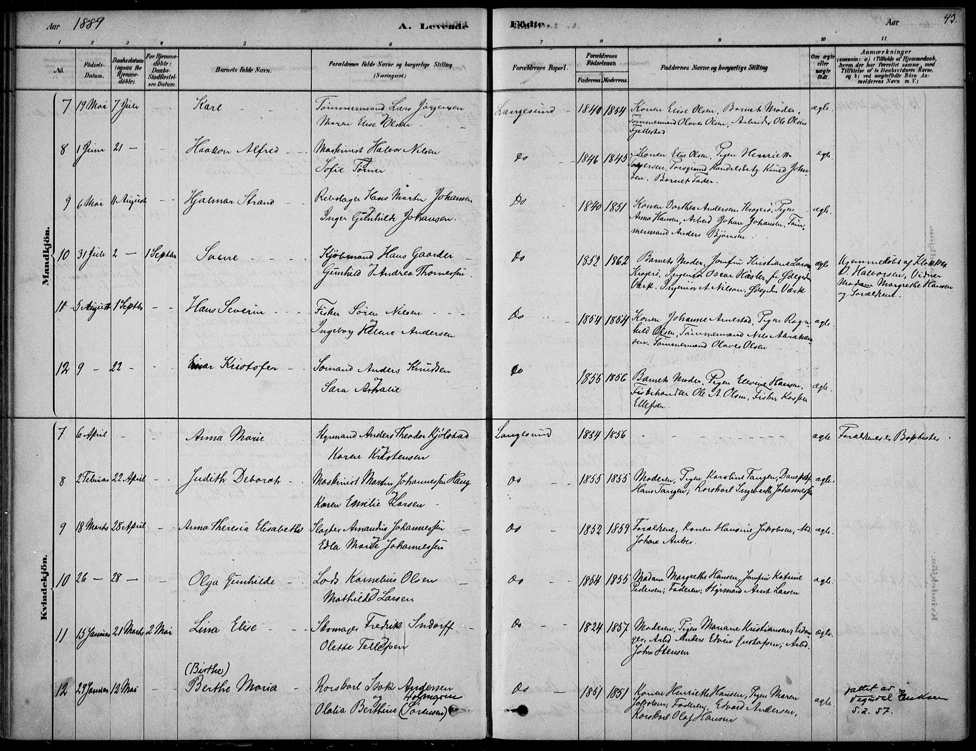 Langesund kirkebøker, AV/SAKO-A-280/F/Fa/L0002: Parish register (official) no. 2, 1878-1892, p. 43