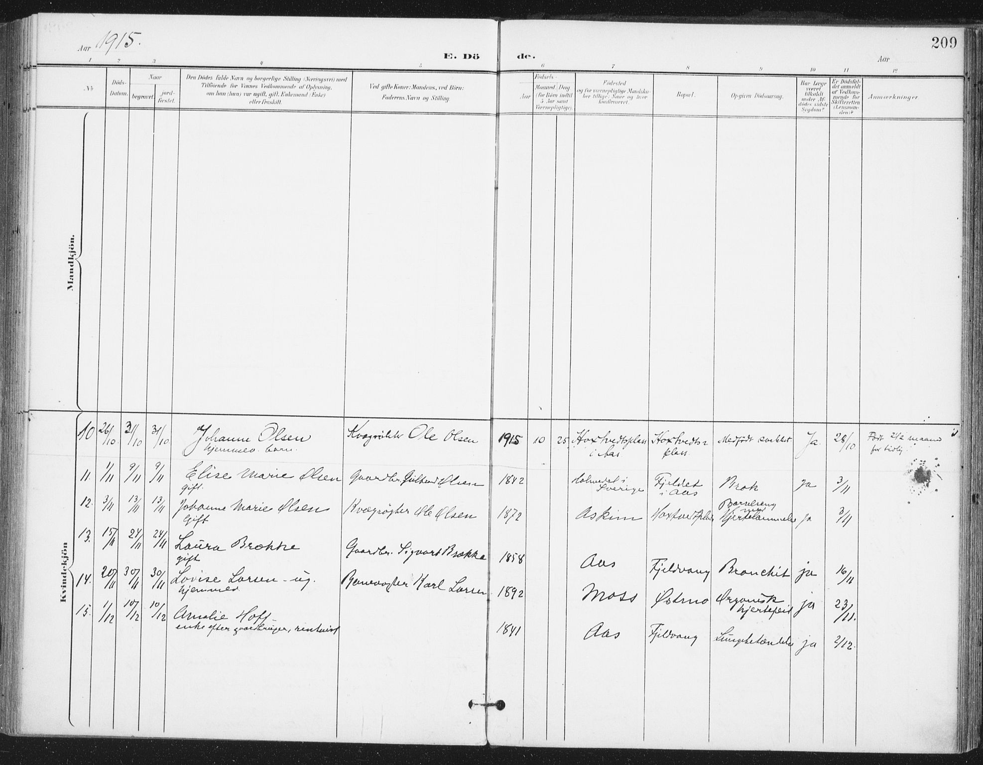 Ås prestekontor Kirkebøker, SAO/A-10894/F/Fa/L0010: Parish register (official) no. I 10, 1900-1918, p. 209