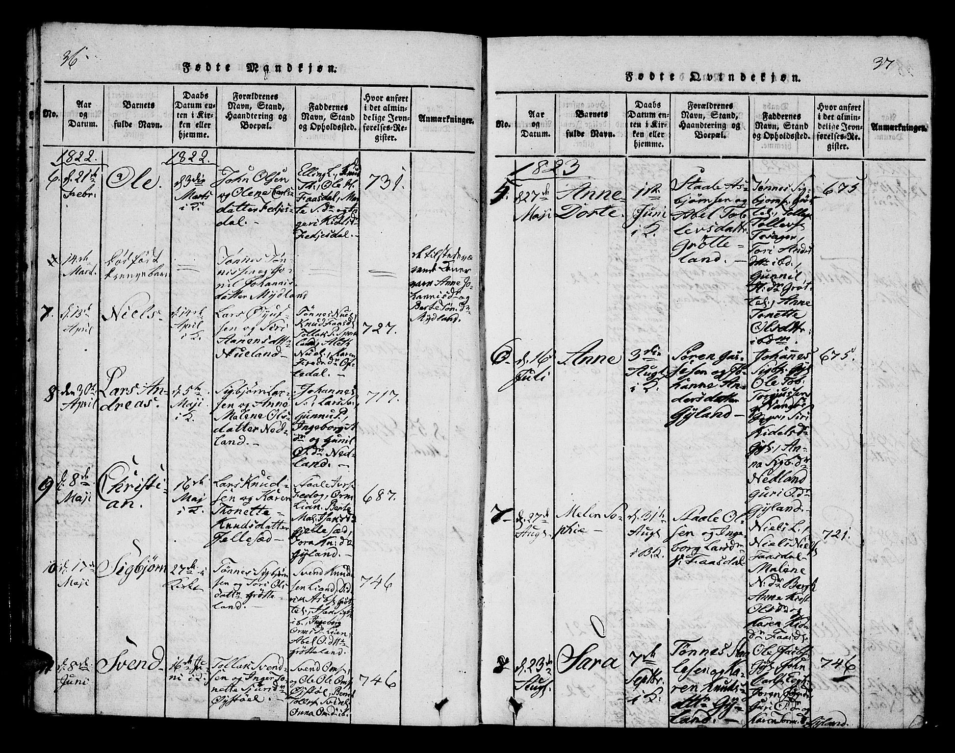 Bakke sokneprestkontor, AV/SAK-1111-0002/F/Fa/Fab/L0001: Parish register (official) no. A 1, 1815-1835, p. 36-37