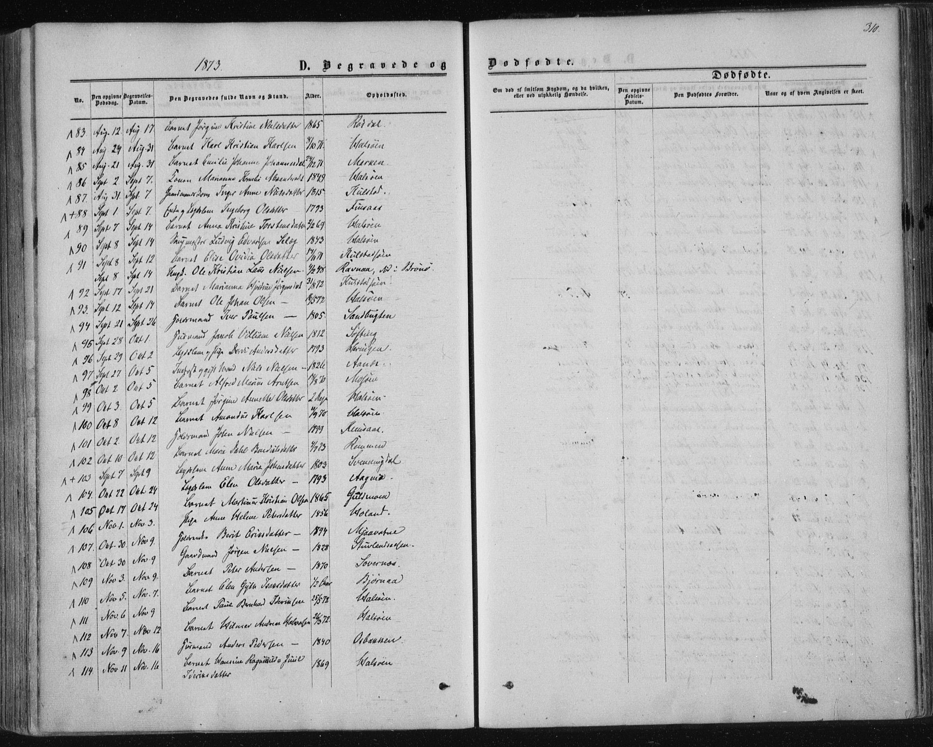 Ministerialprotokoller, klokkerbøker og fødselsregistre - Nordland, SAT/A-1459/820/L0294: Parish register (official) no. 820A15, 1866-1879, p. 310