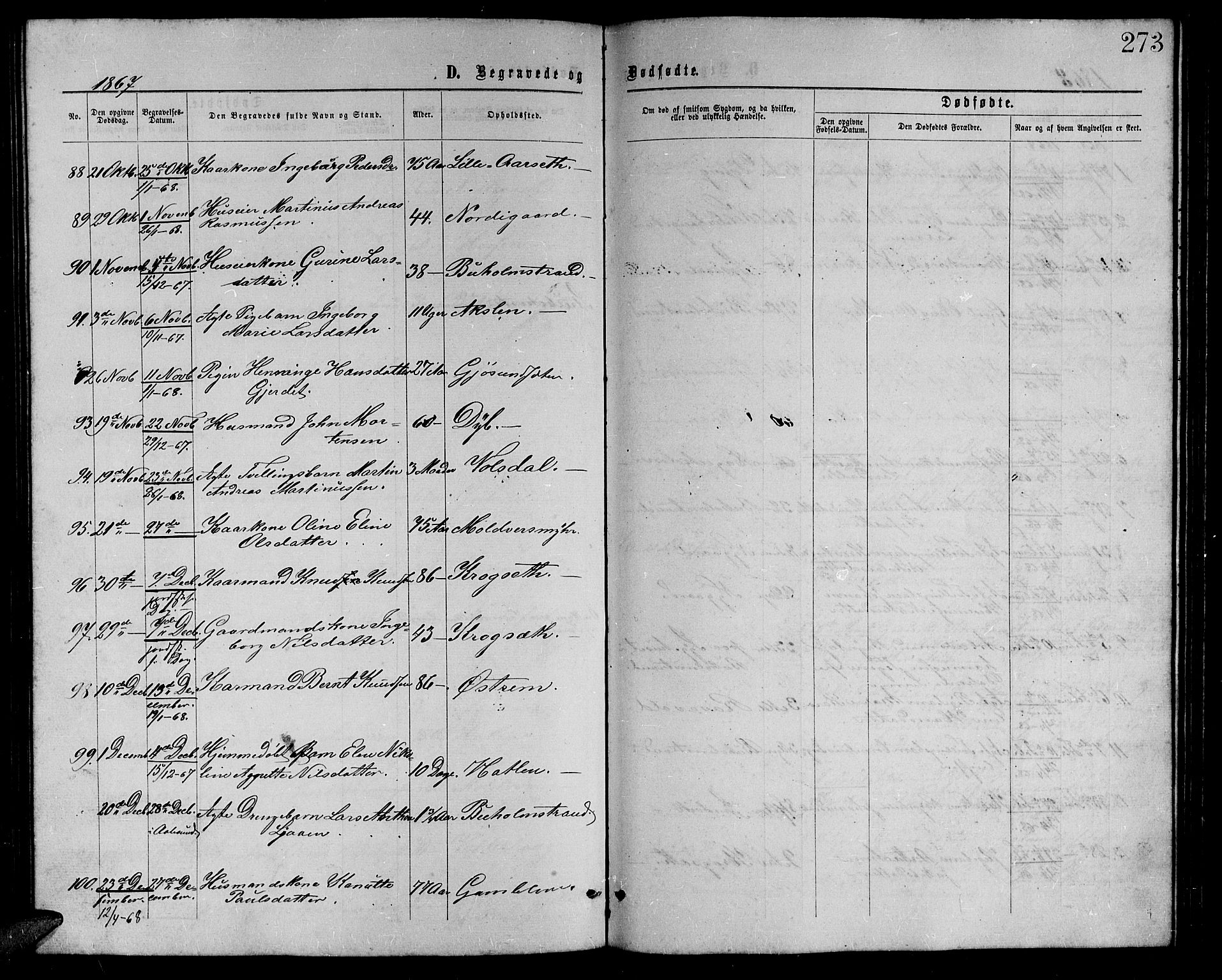 Ministerialprotokoller, klokkerbøker og fødselsregistre - Møre og Romsdal, AV/SAT-A-1454/528/L0428: Parish register (copy) no. 528C09, 1864-1880, p. 273