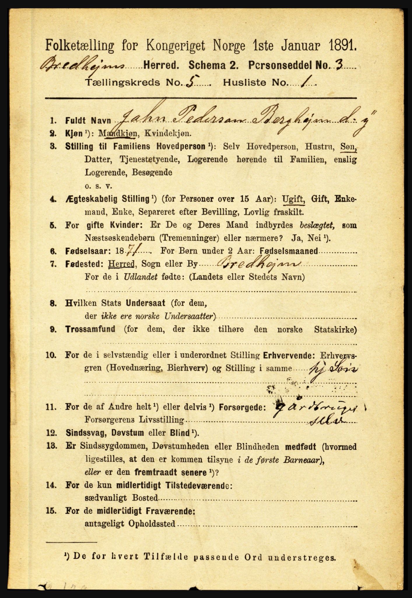 RA, 1891 census for 1446 Breim, 1891, p. 1738