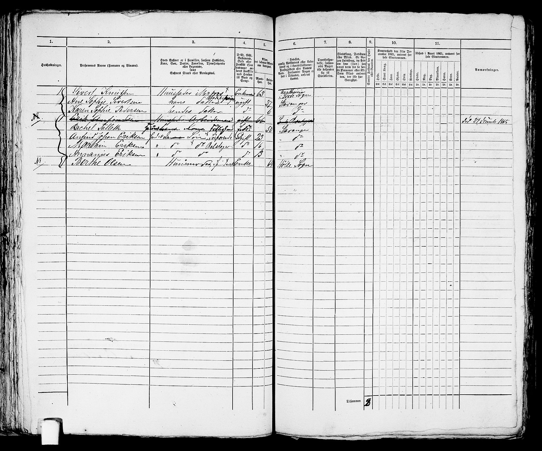 RA, 1865 census for Stavanger, 1865, p. 1636