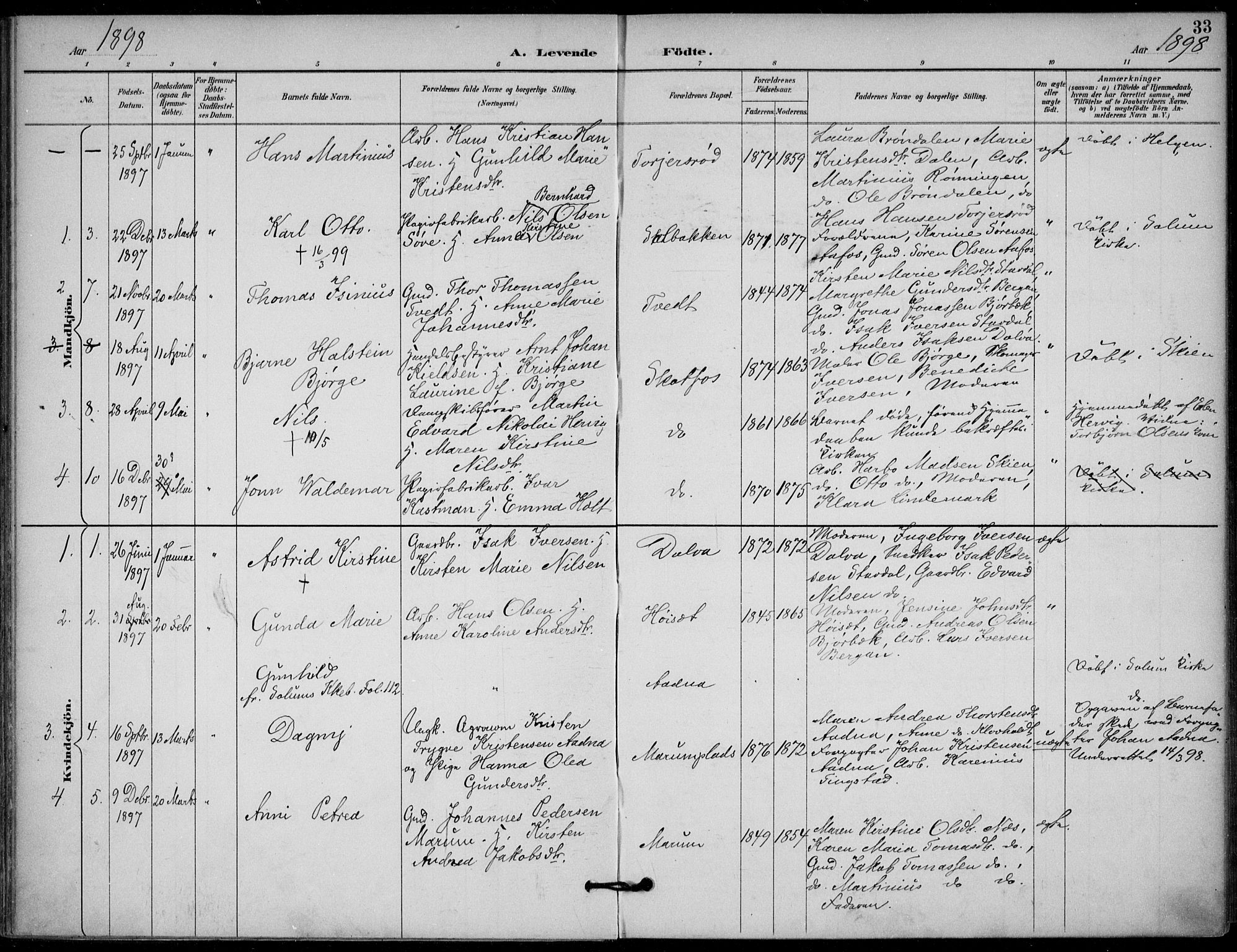 Solum kirkebøker, AV/SAKO-A-306/F/Fb/L0002: Parish register (official) no. II 2, 1893-1901, p. 33