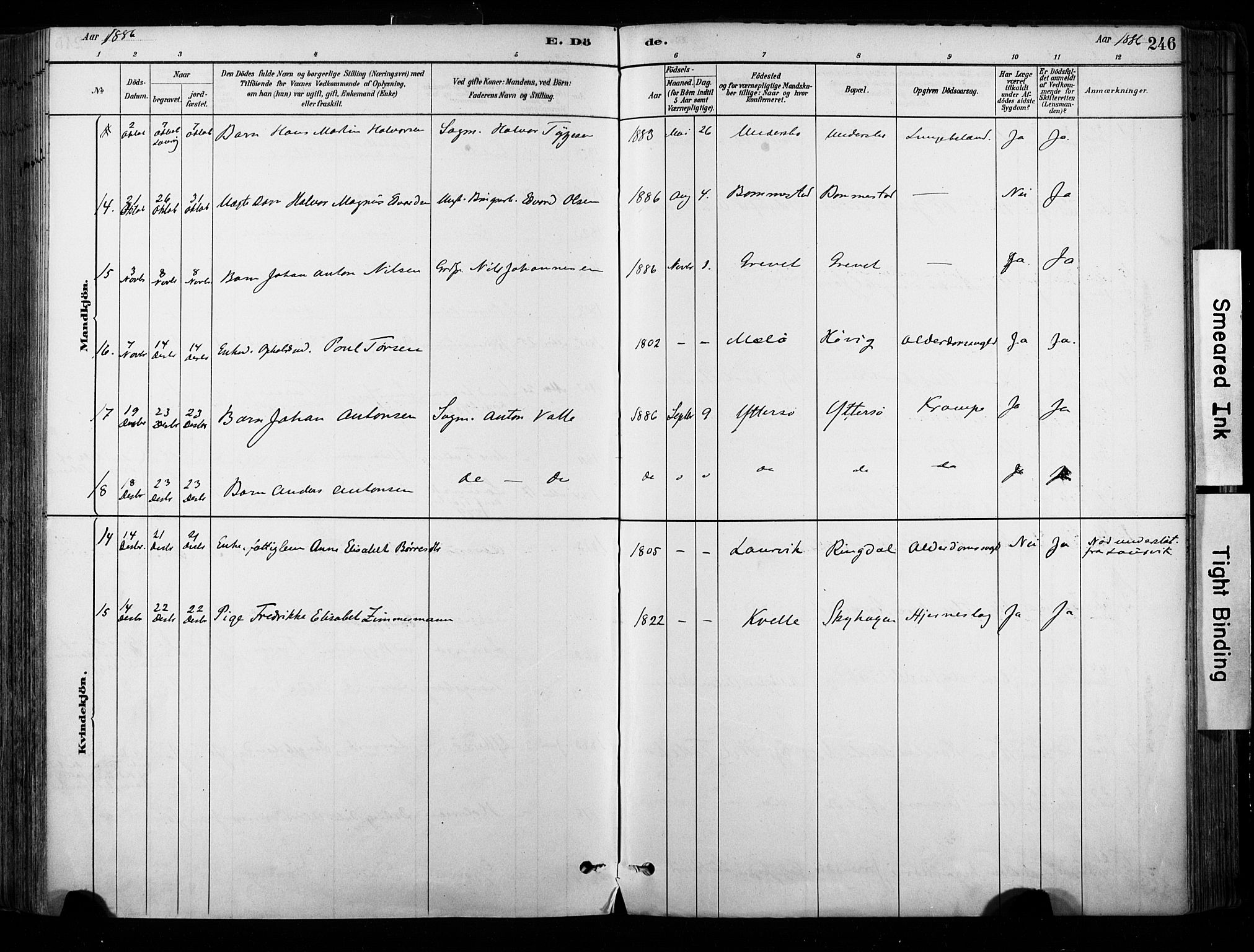 Hedrum kirkebøker, AV/SAKO-A-344/F/Fa/L0009: Parish register (official) no. I 9, 1881-1903, p. 246