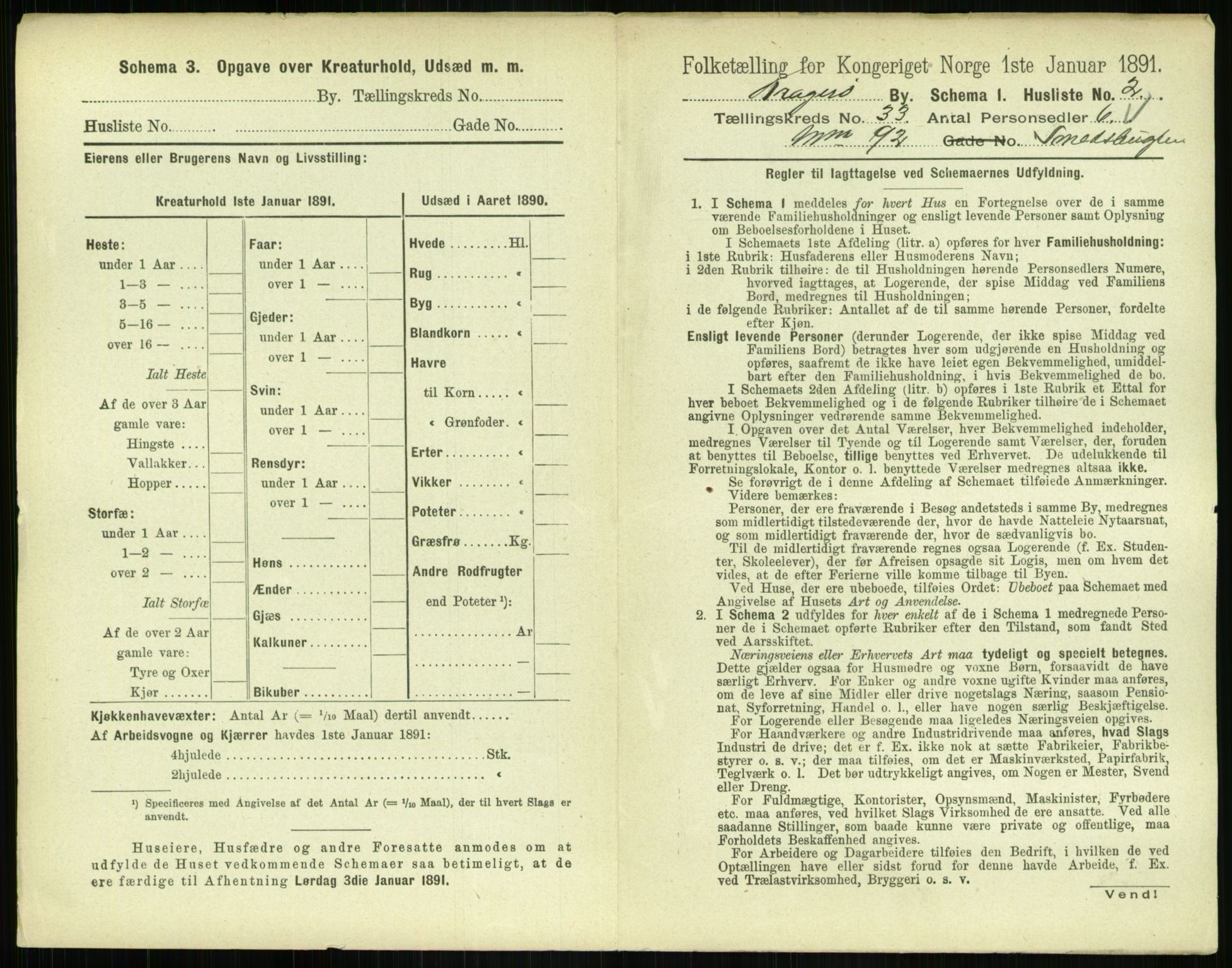 RA, 1891 census for 0801 Kragerø, 1891, p. 1200