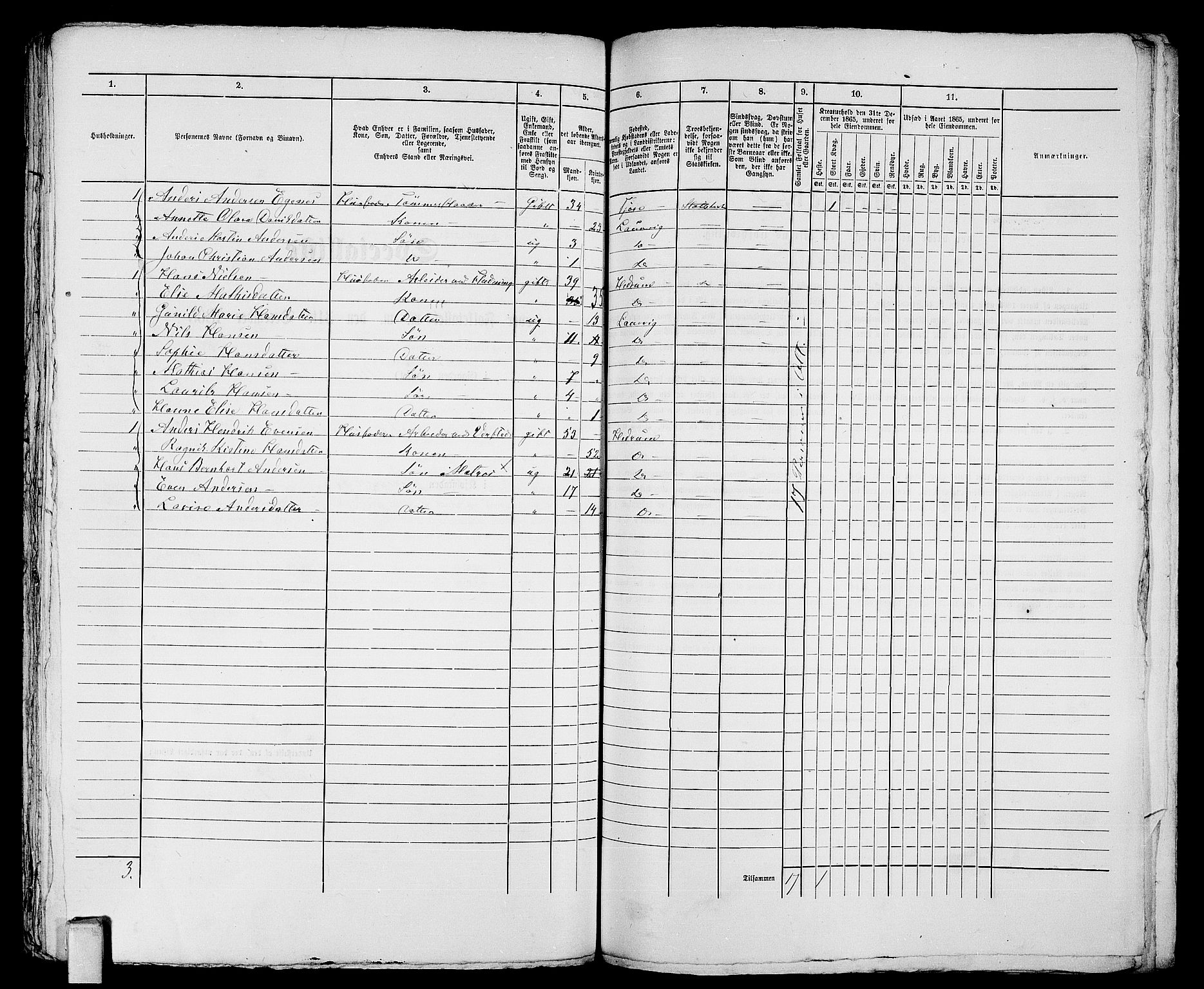 RA, 1865 census for Larvik, 1865, p. 1010