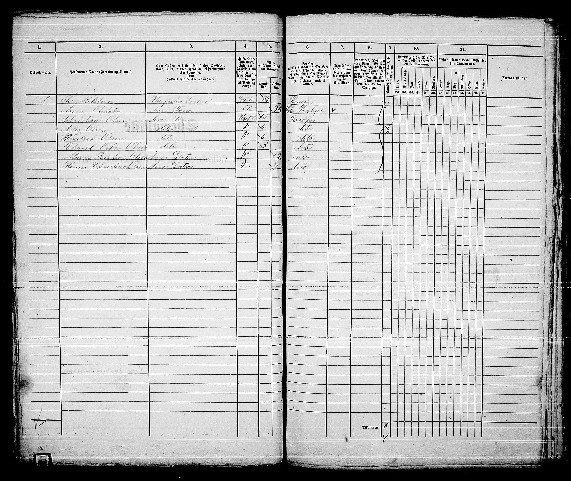 RA, 1865 census for Norderhov/Hønefoss, 1865, p. 117