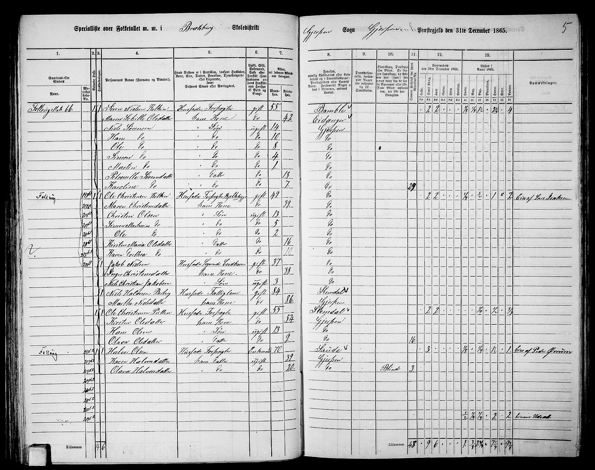 RA, 1865 census for Gjerpen, 1865, p. 113