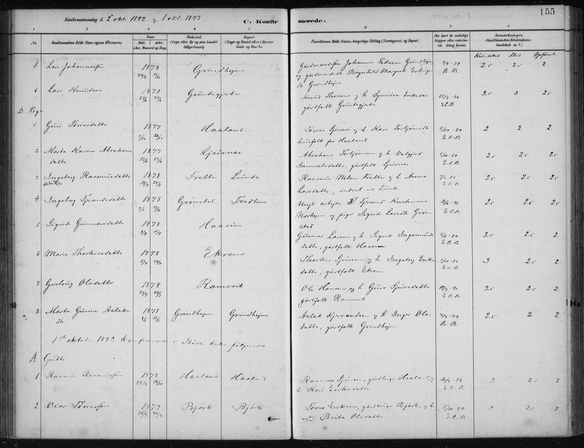 Etne sokneprestembete, AV/SAB-A-75001/H/Haa: Parish register (official) no. D  1, 1879-1919, p. 155