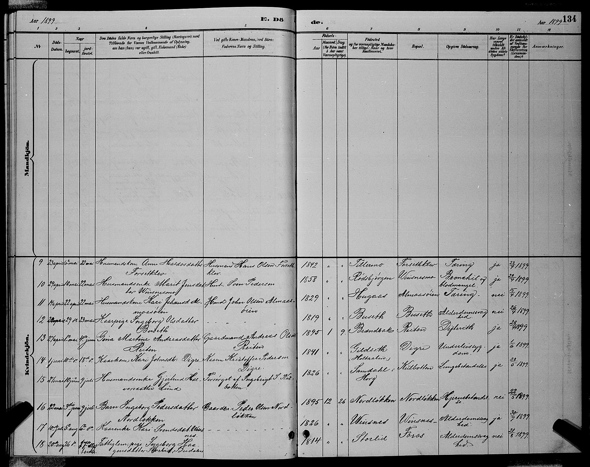 Ministerialprotokoller, klokkerbøker og fødselsregistre - Sør-Trøndelag, AV/SAT-A-1456/688/L1028: Parish register (copy) no. 688C03, 1889-1899, p. 134